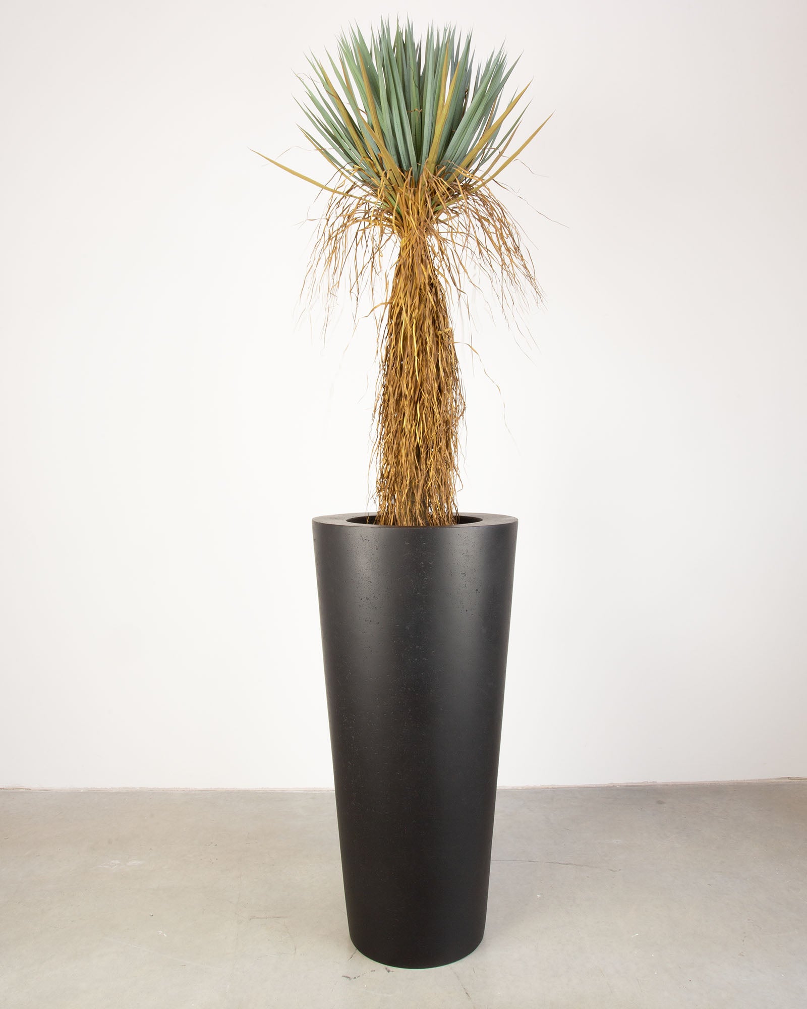 Basalo Conical Set mit Yucca Palmlilie