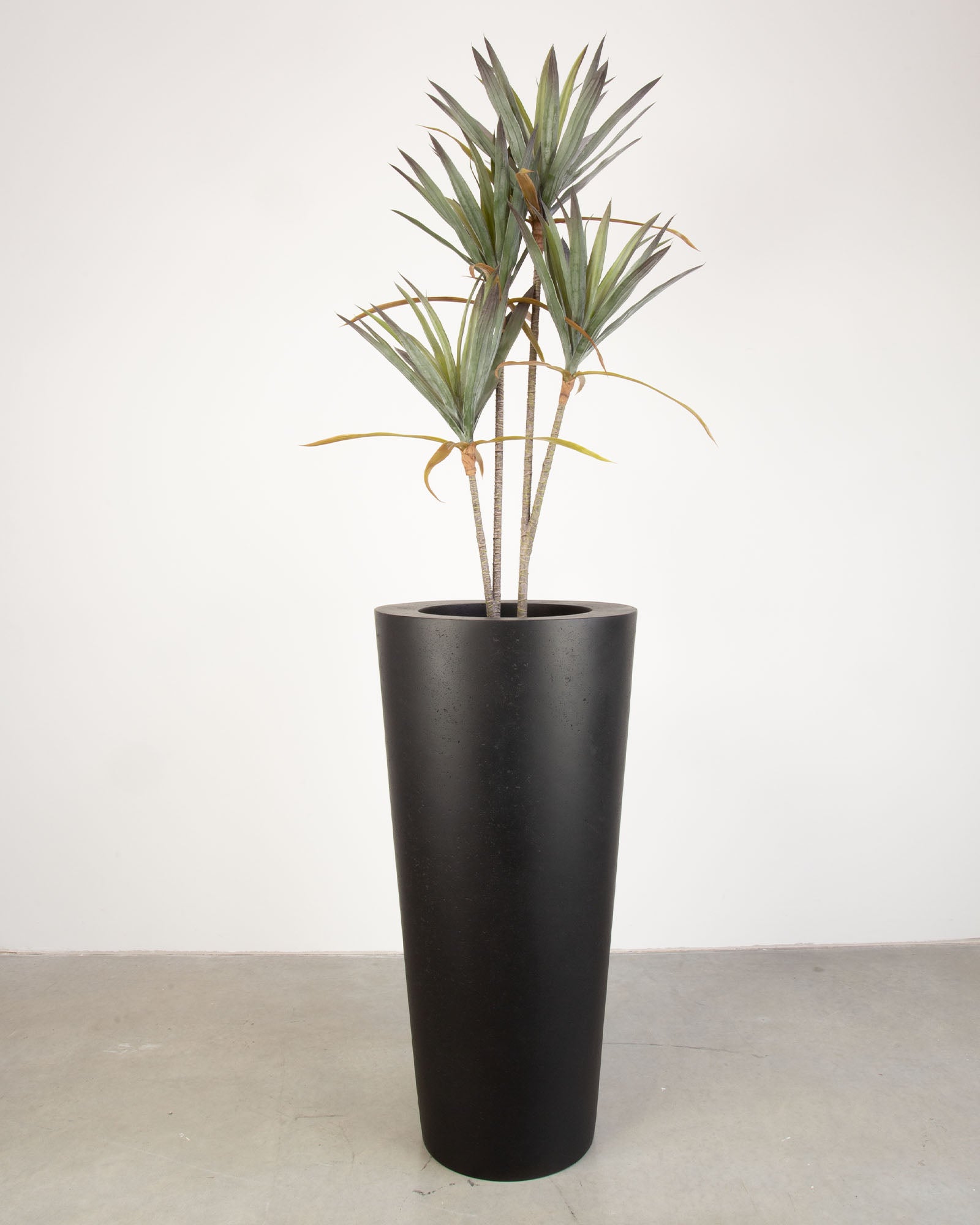 Basalo Conical Set mit Yucca - Palmlilie