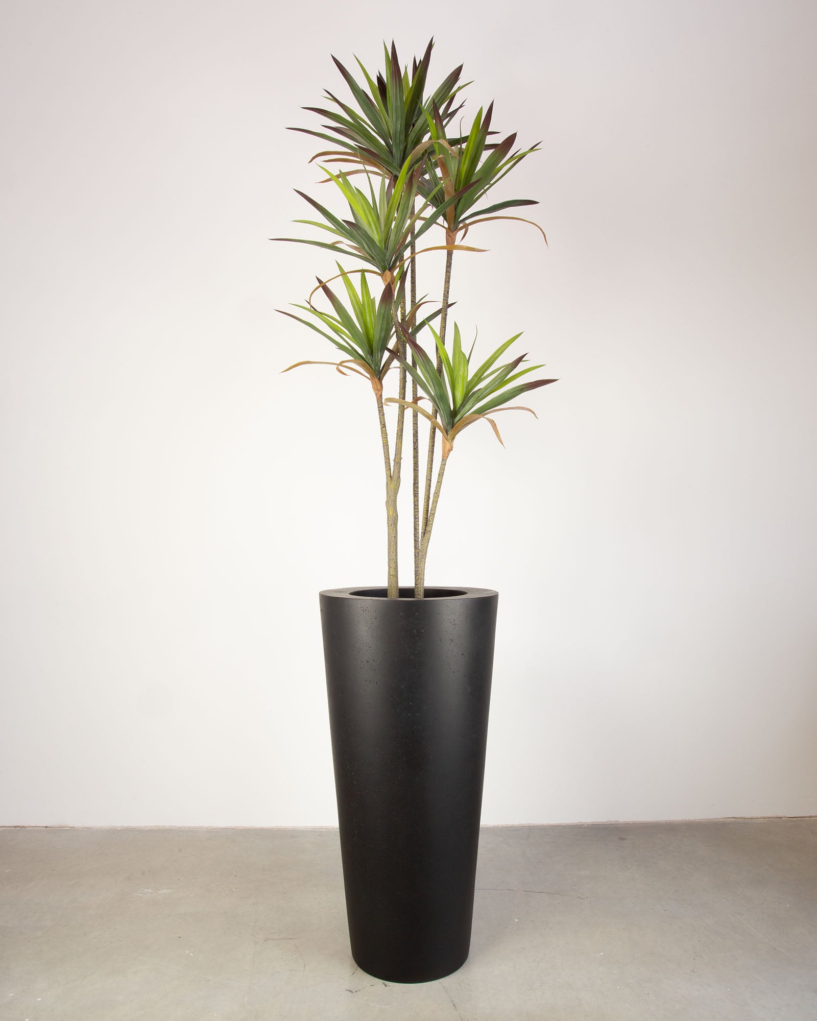Basalo Conical Set mit Yucca - Palmlilie