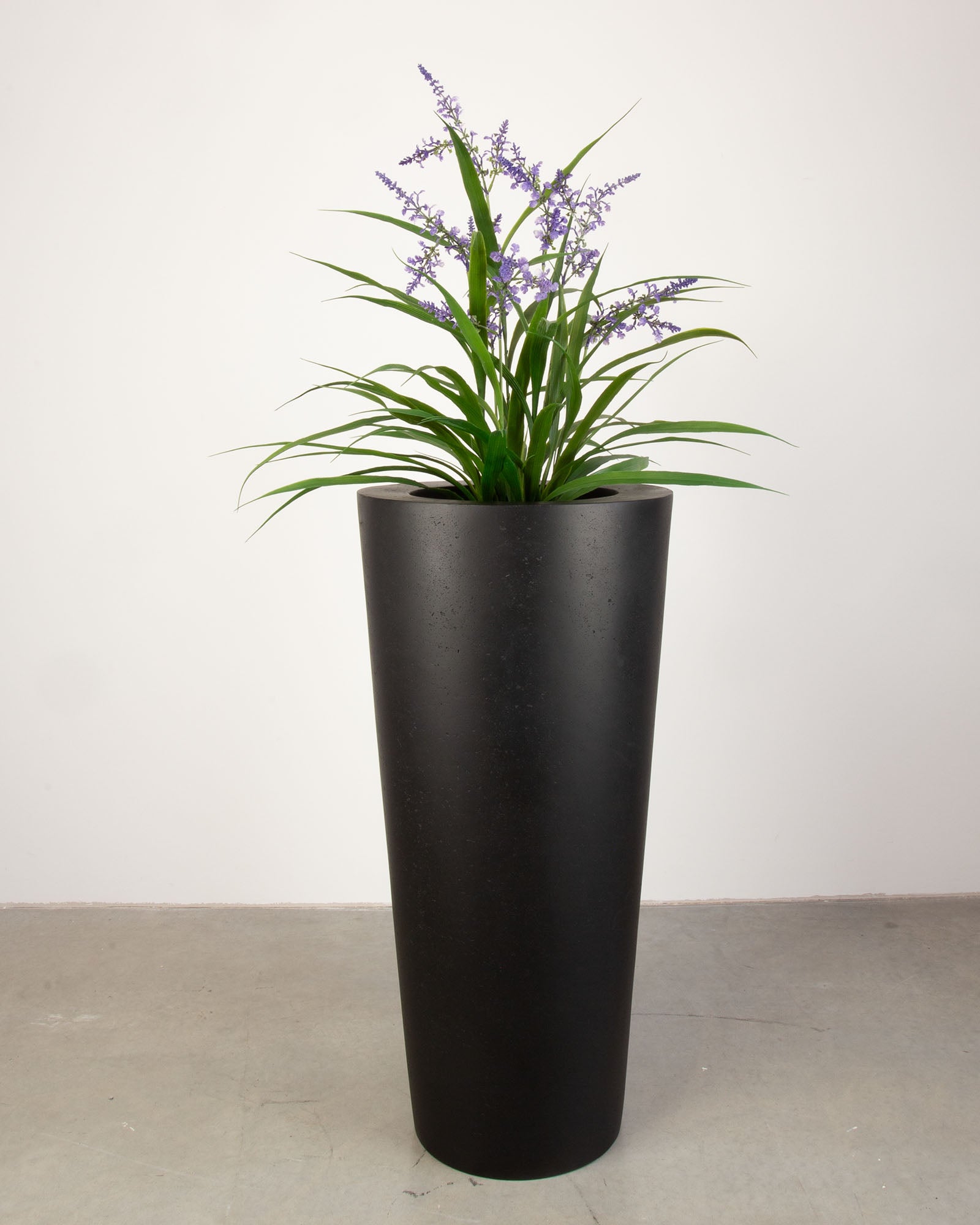Basalo Conical Set mit Lavendel