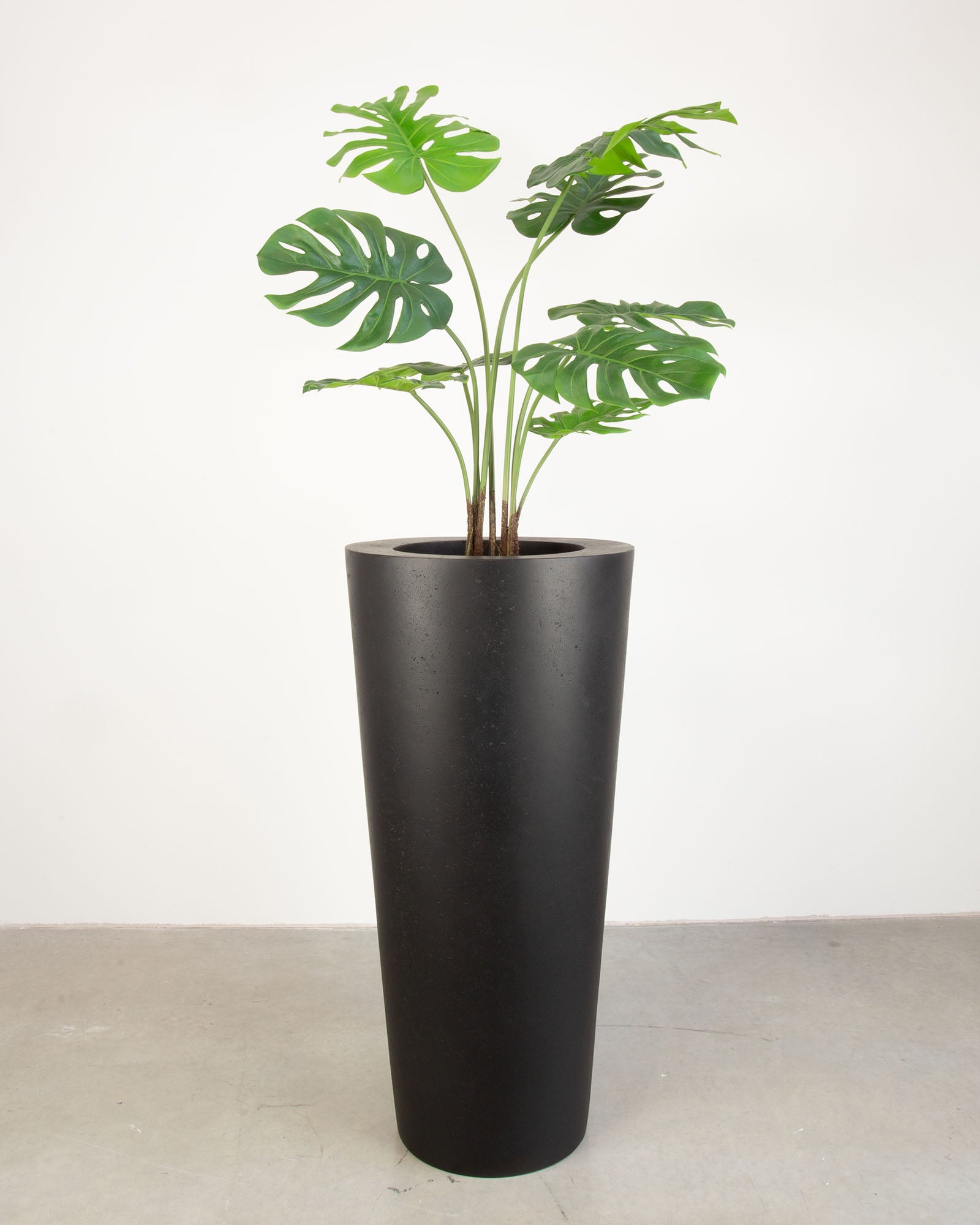 Basalo Conical Set mit Monstera