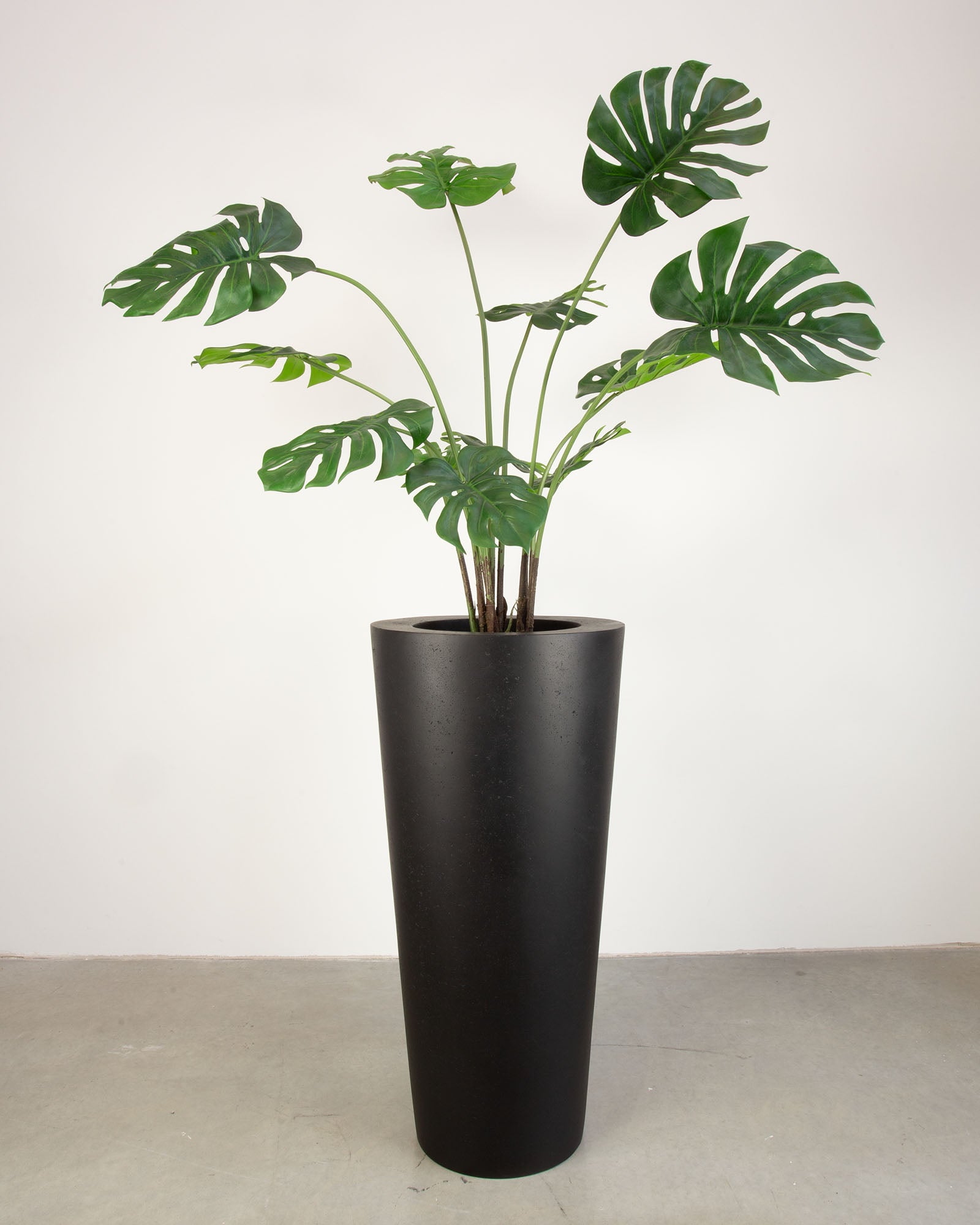 Basalo Conical Set mit Monstera