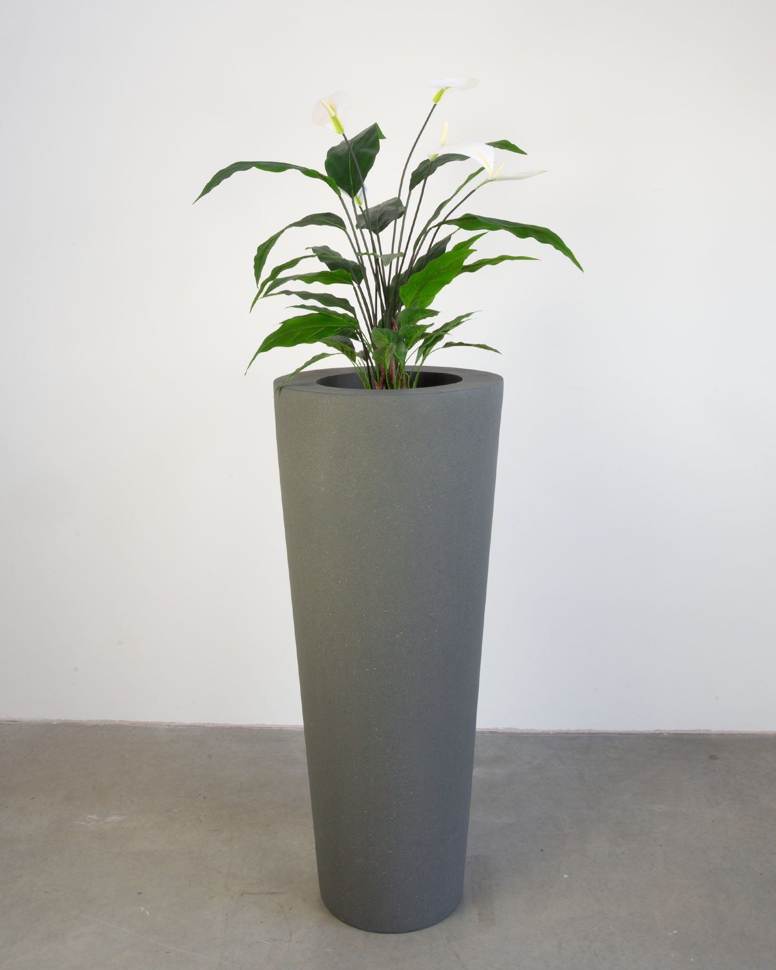 Basalo Conical Set mit Einblatt