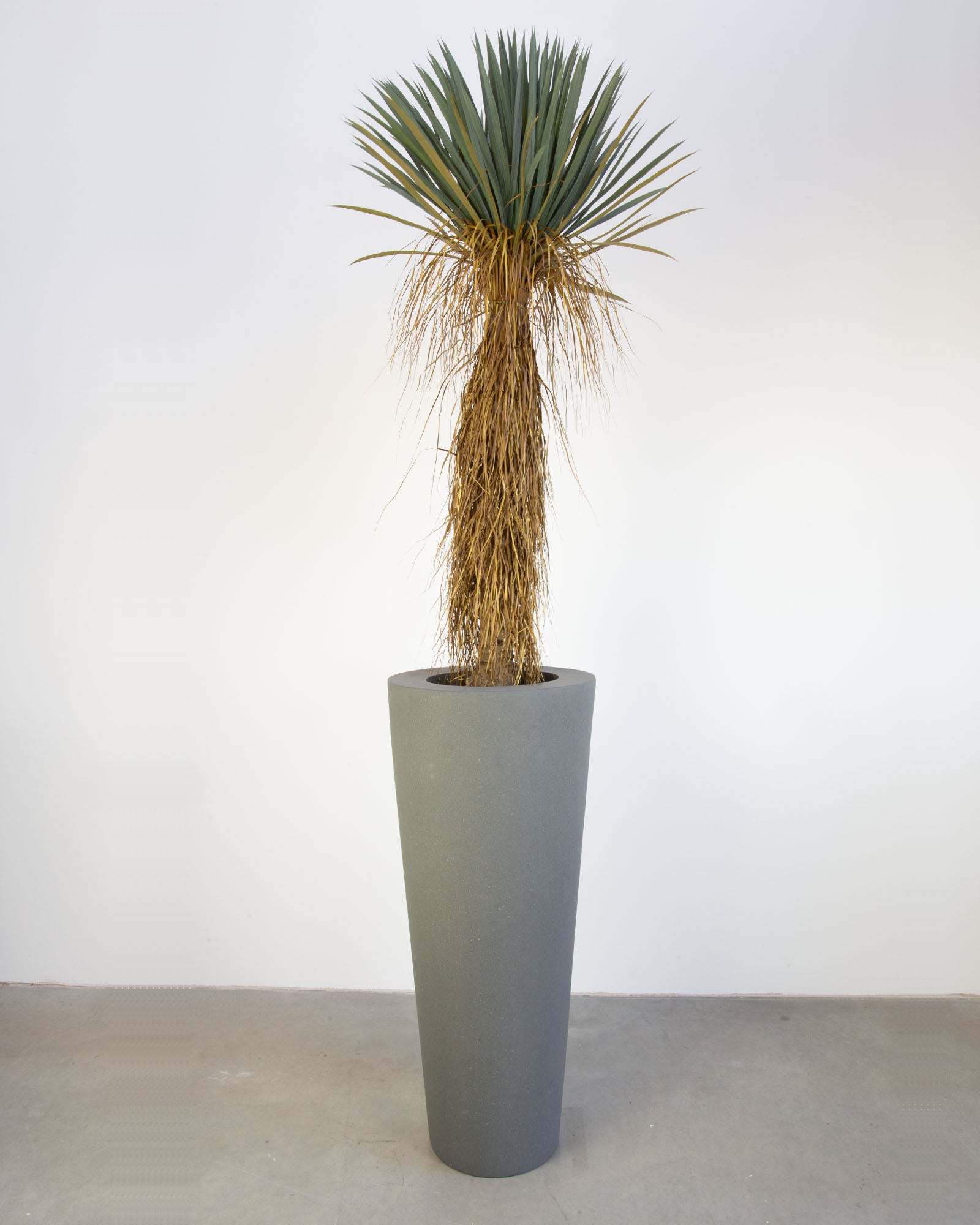 Basalo Conical Set mit Yucca Palmlilie