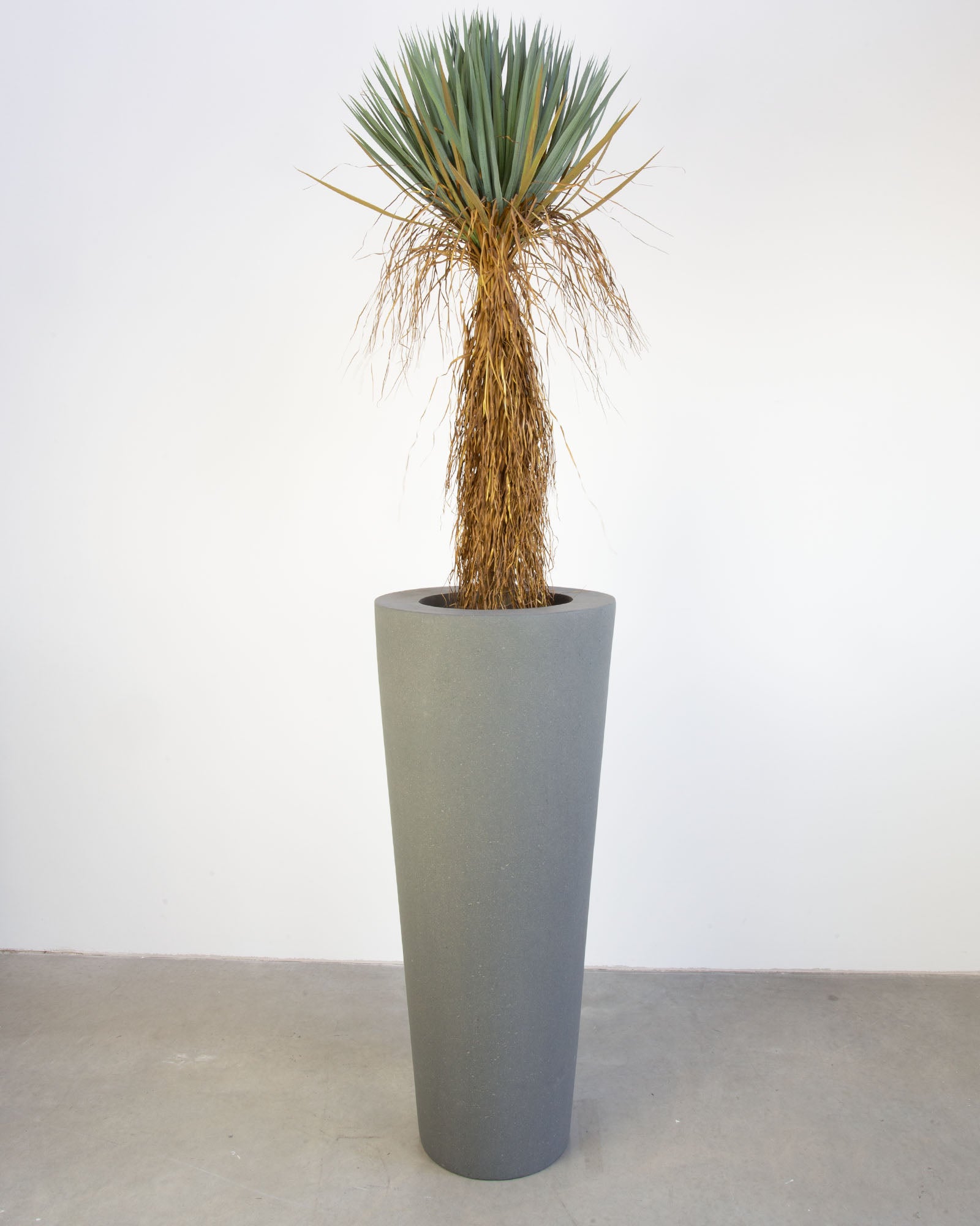 Basalo Conical Set mit Yucca Palmlilie