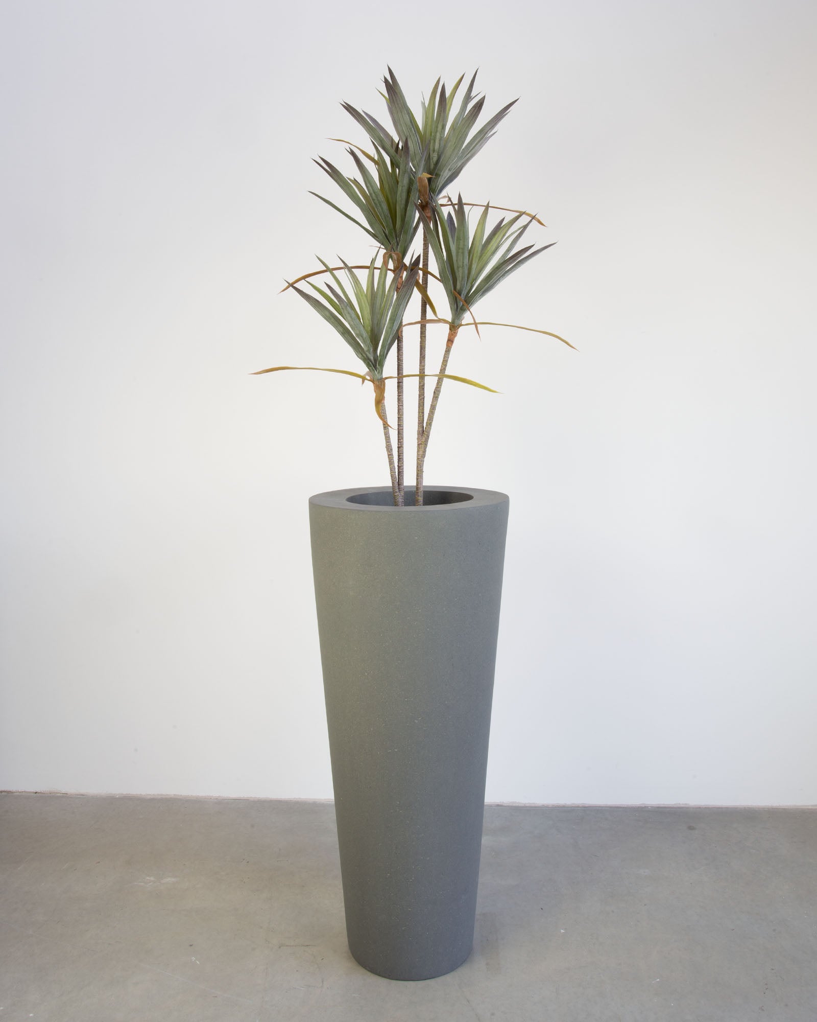 Basalo Conical Set mit Yucca - Palmlilie