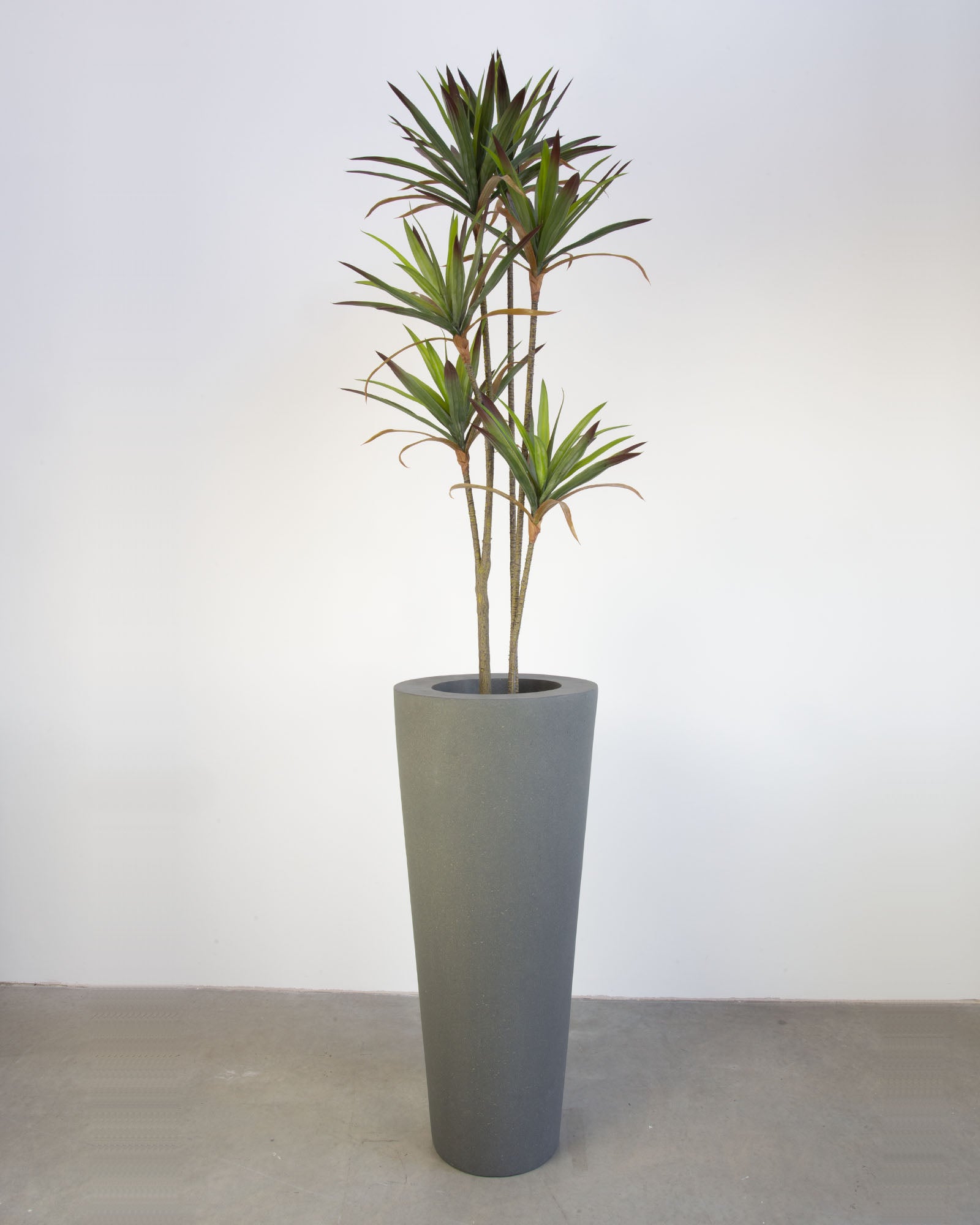 Basalo Conical Set mit Yucca - Palmlilie