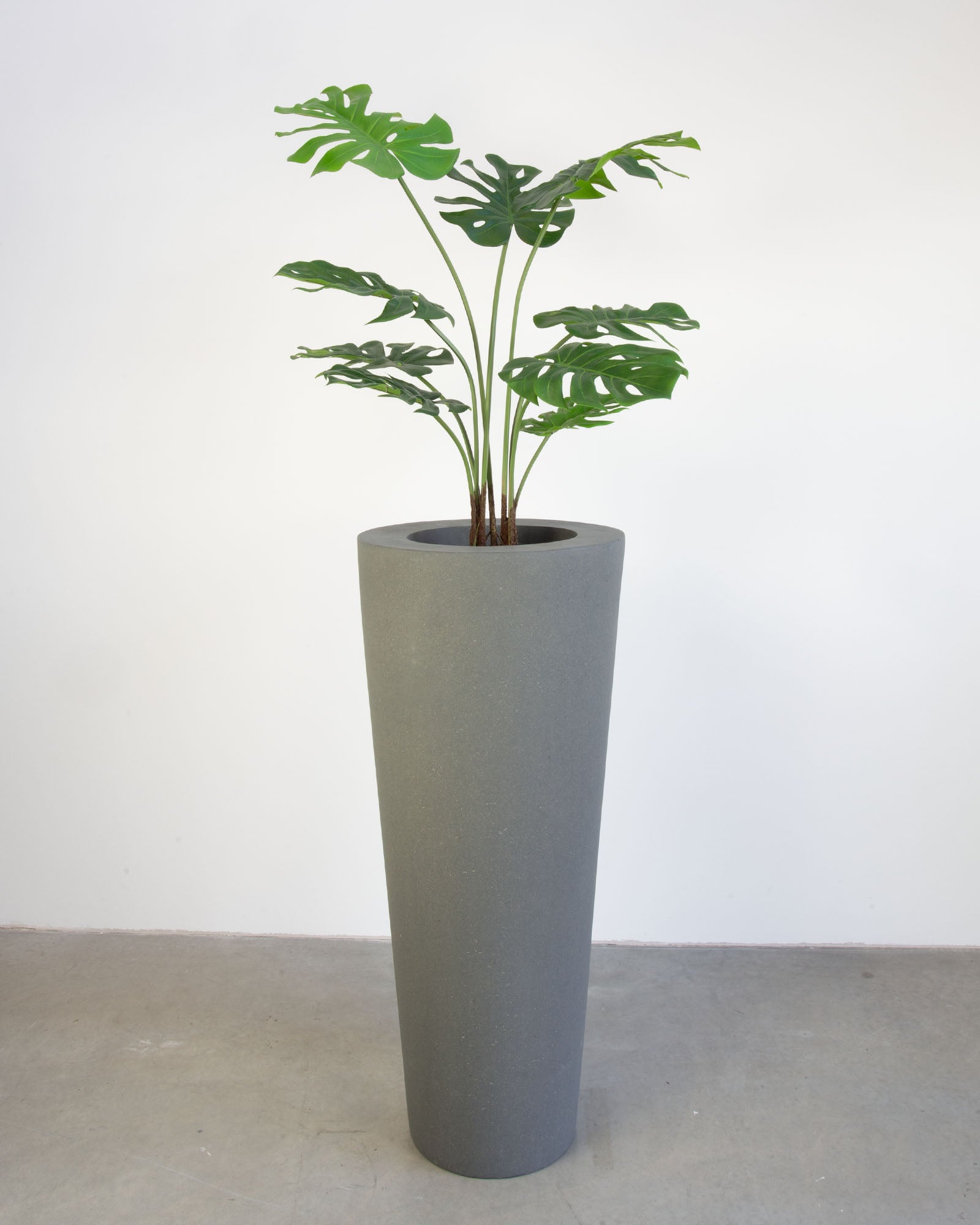 Basalo Conical Set mit Monstera