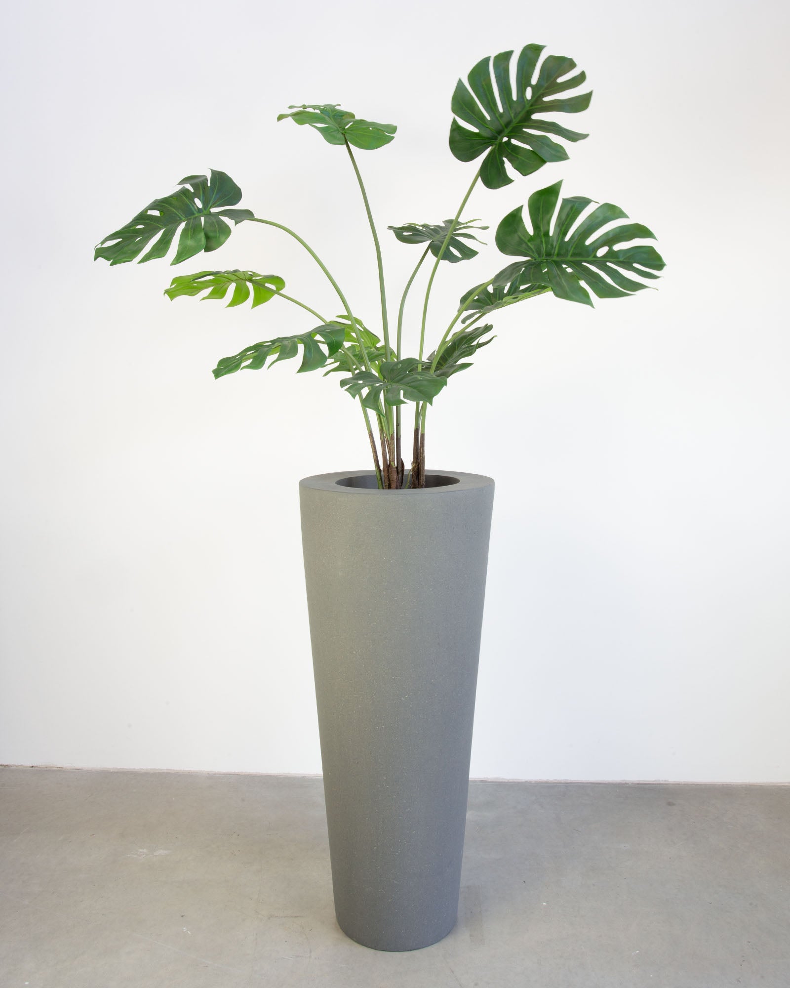 Basalo Conical Set mit Monstera