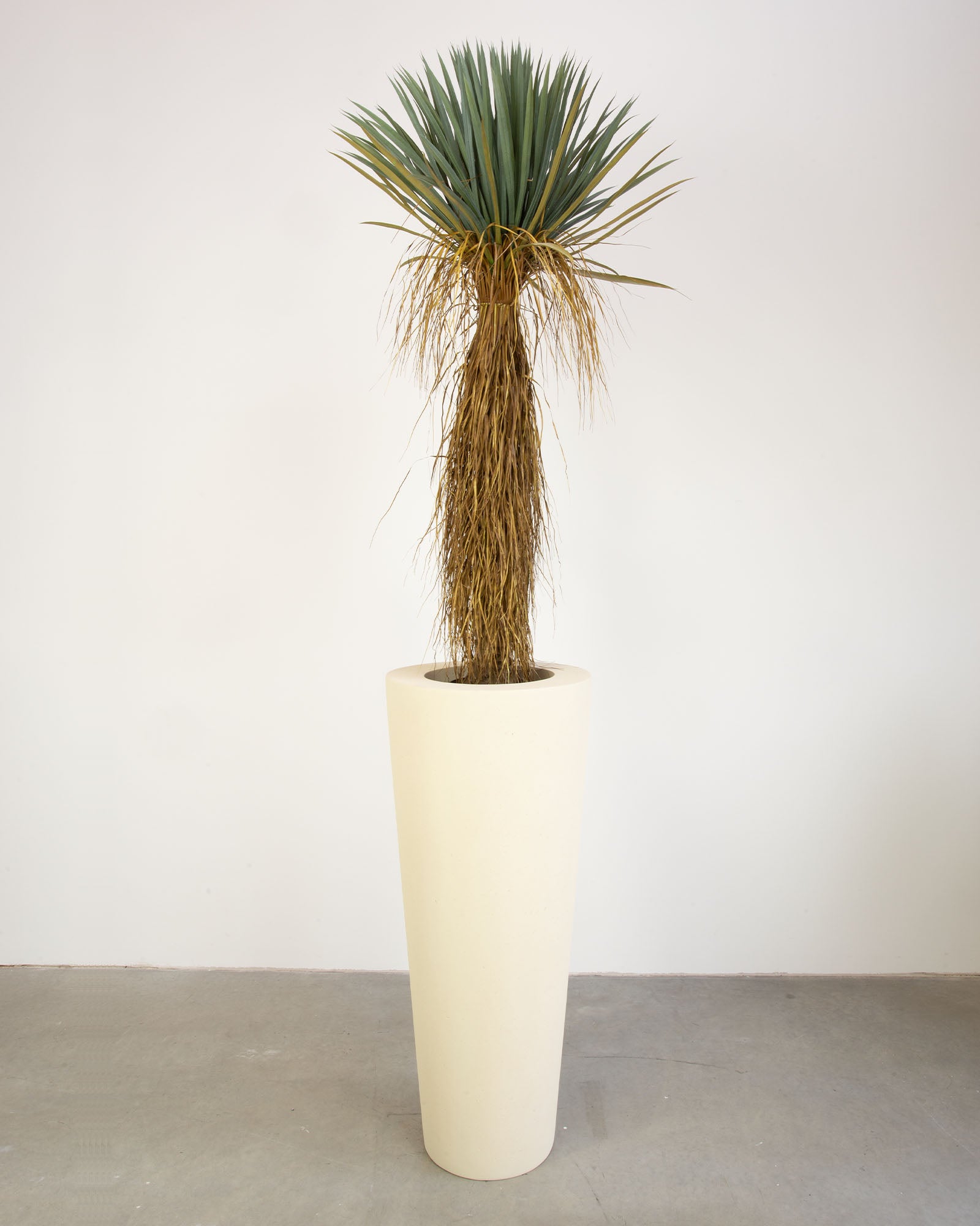 Basalo Conical Set mit Yucca Palmlilie