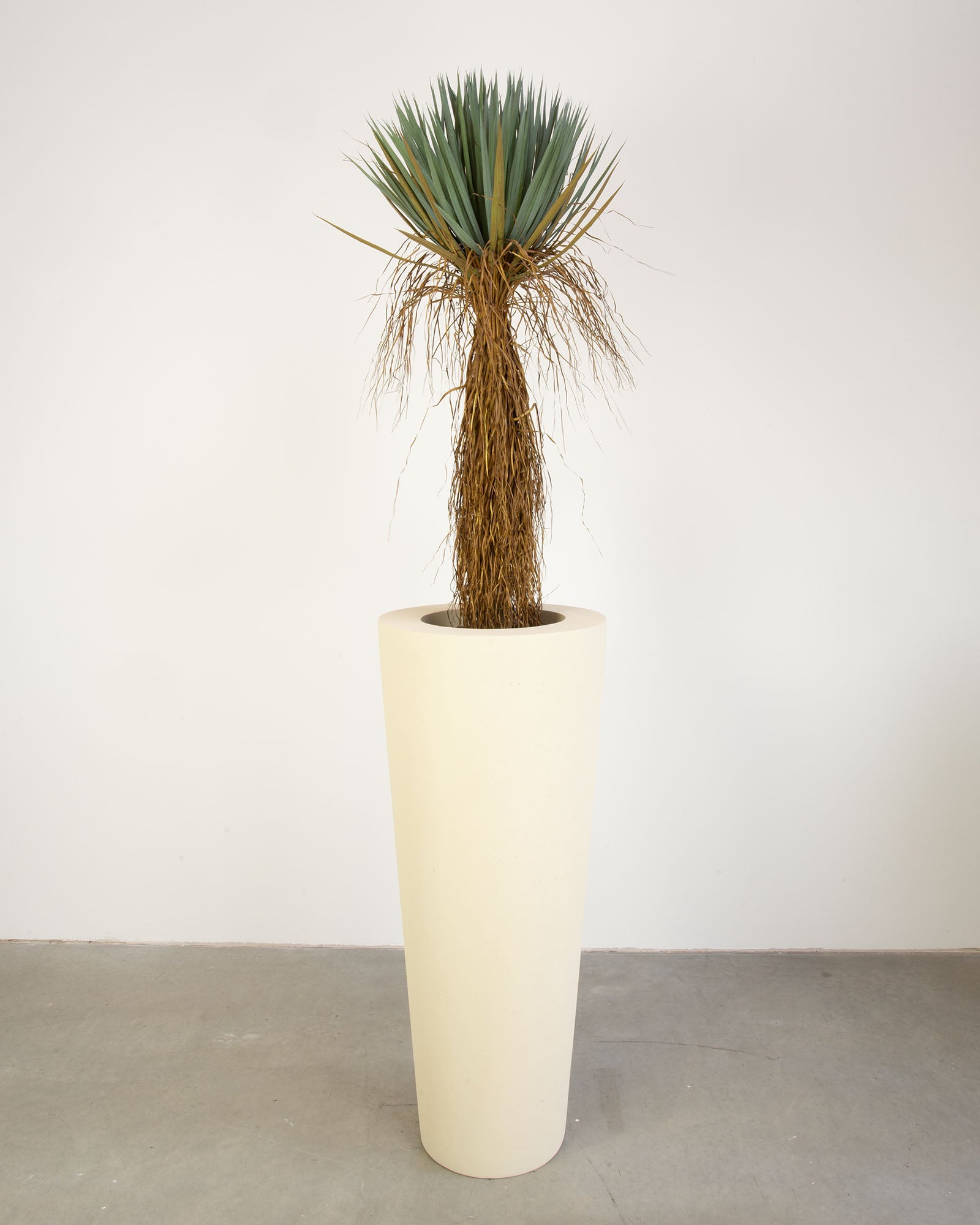 Basalo Conical Set mit Yucca Palmlilie