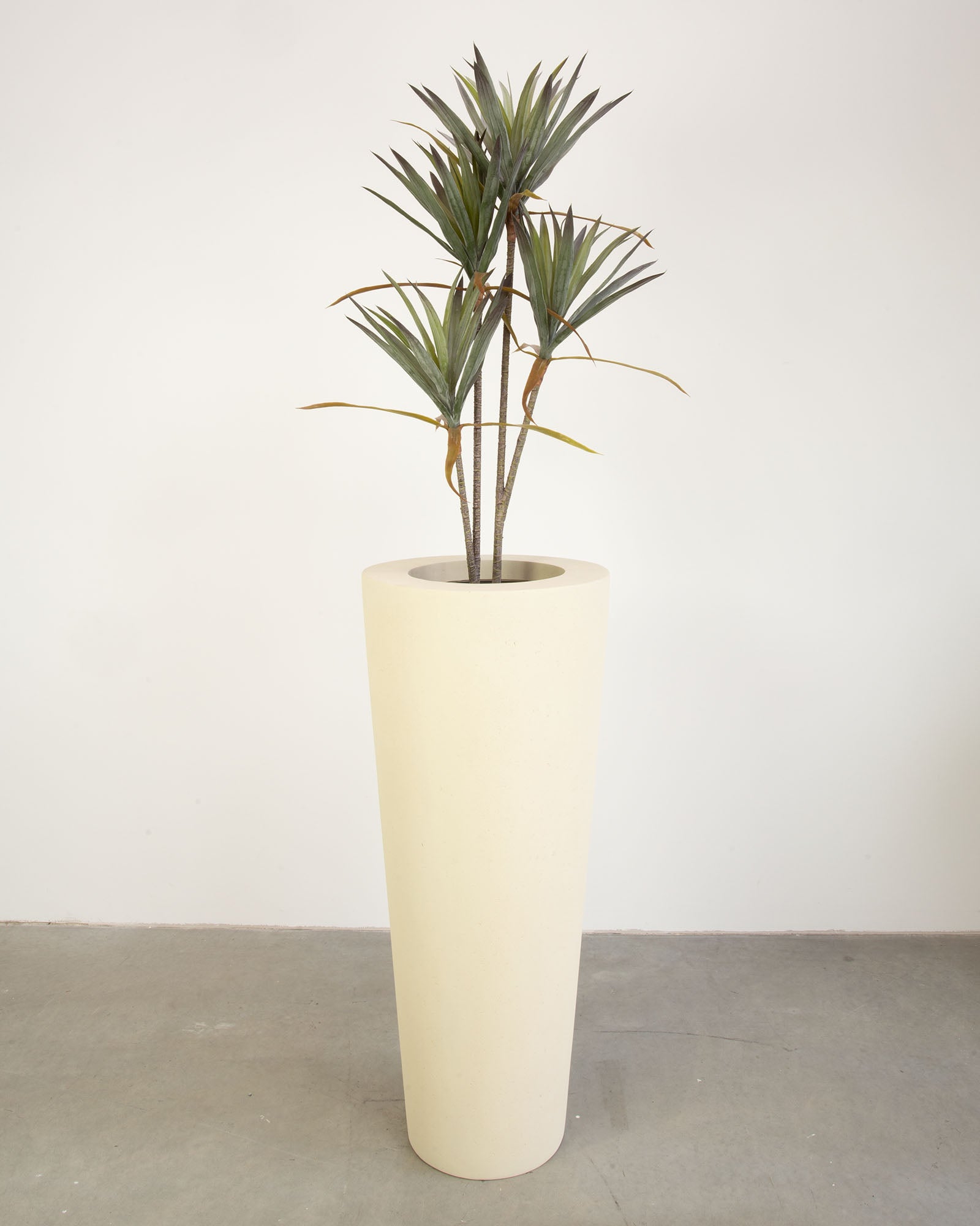 Basalo Conical Set mit Yucca - Palmlilie