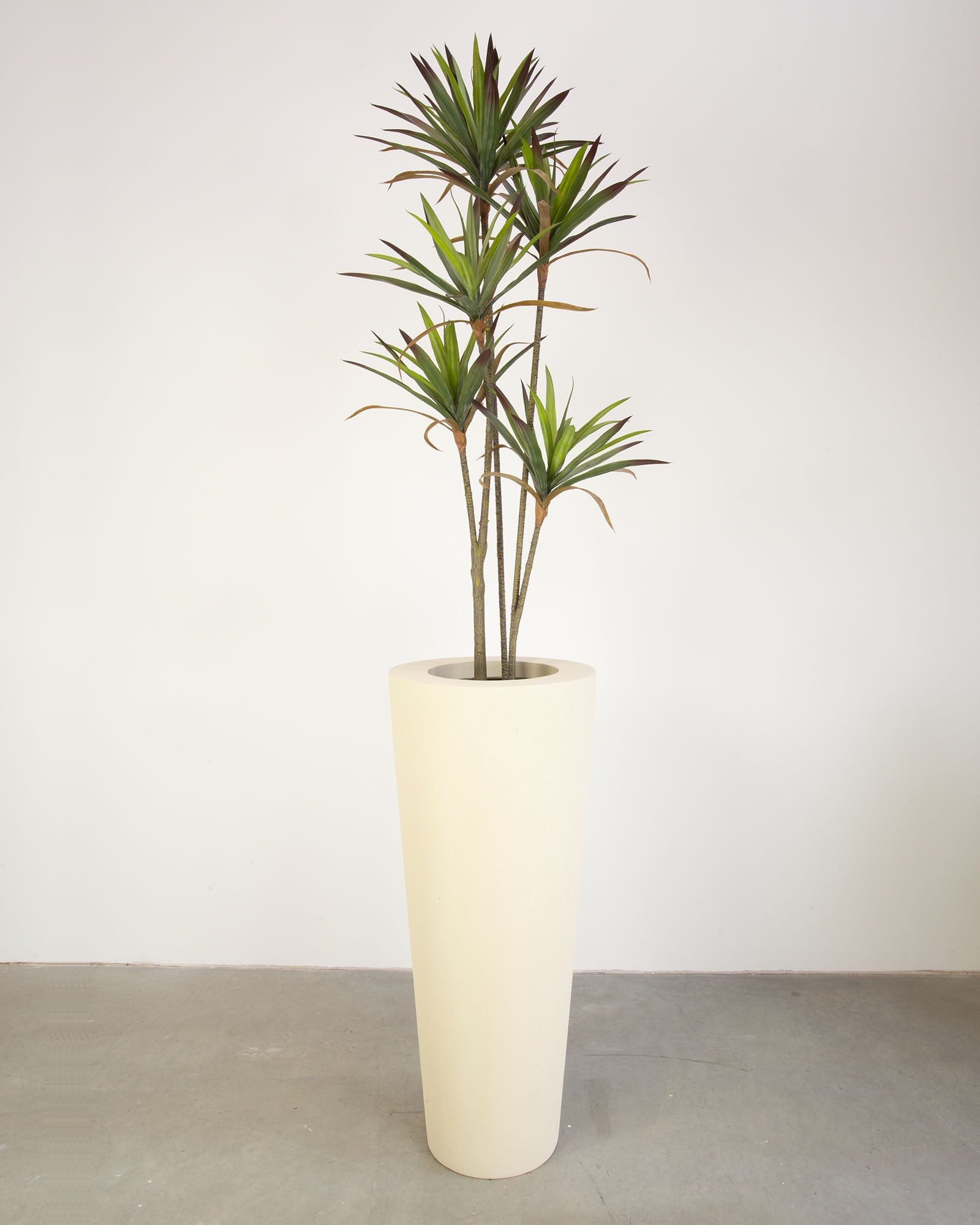 Basalo Conical Set mit Yucca - Palmlilie