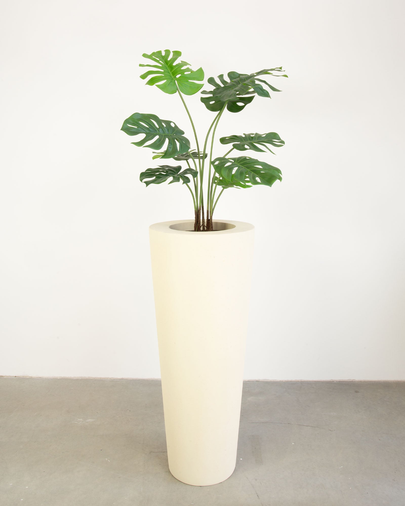 Basalo Conical Set mit Monstera