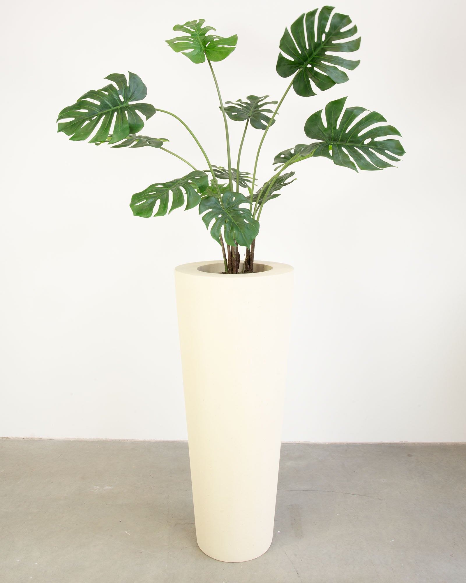 Basalo Conical Set mit Monstera
