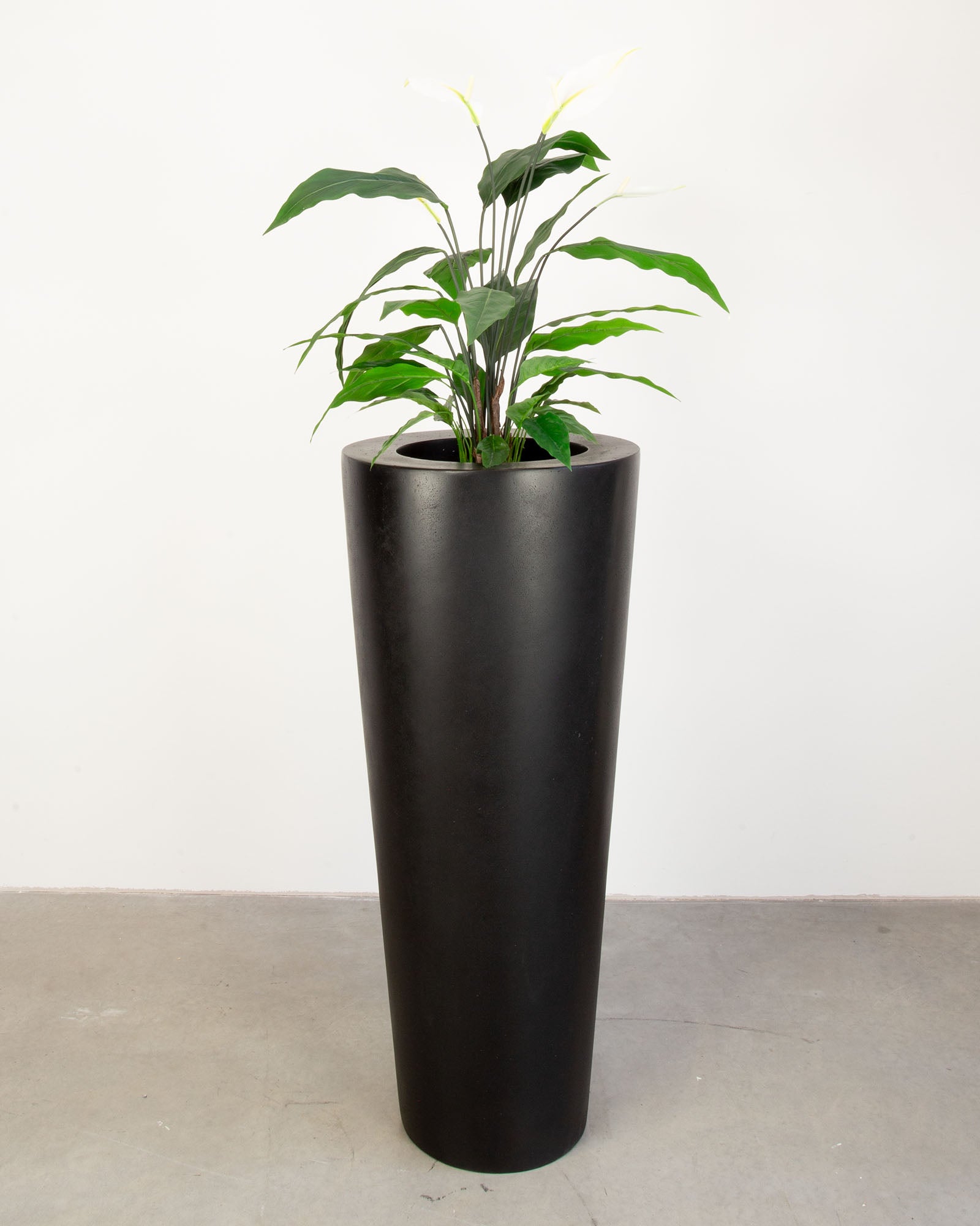 Basalo Conical Set mit Einblatt