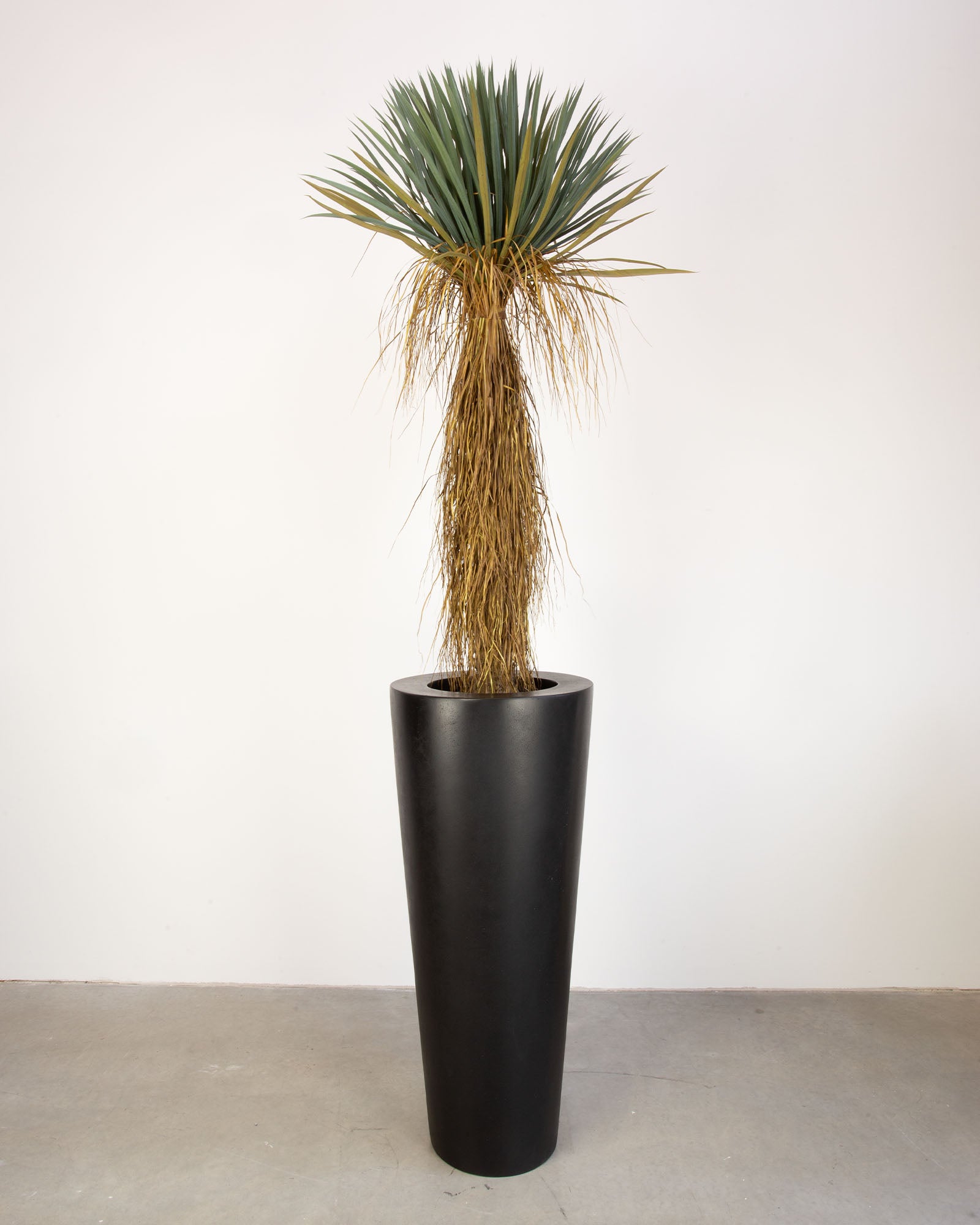 Basalo Conical Set mit Yucca Palmlilie