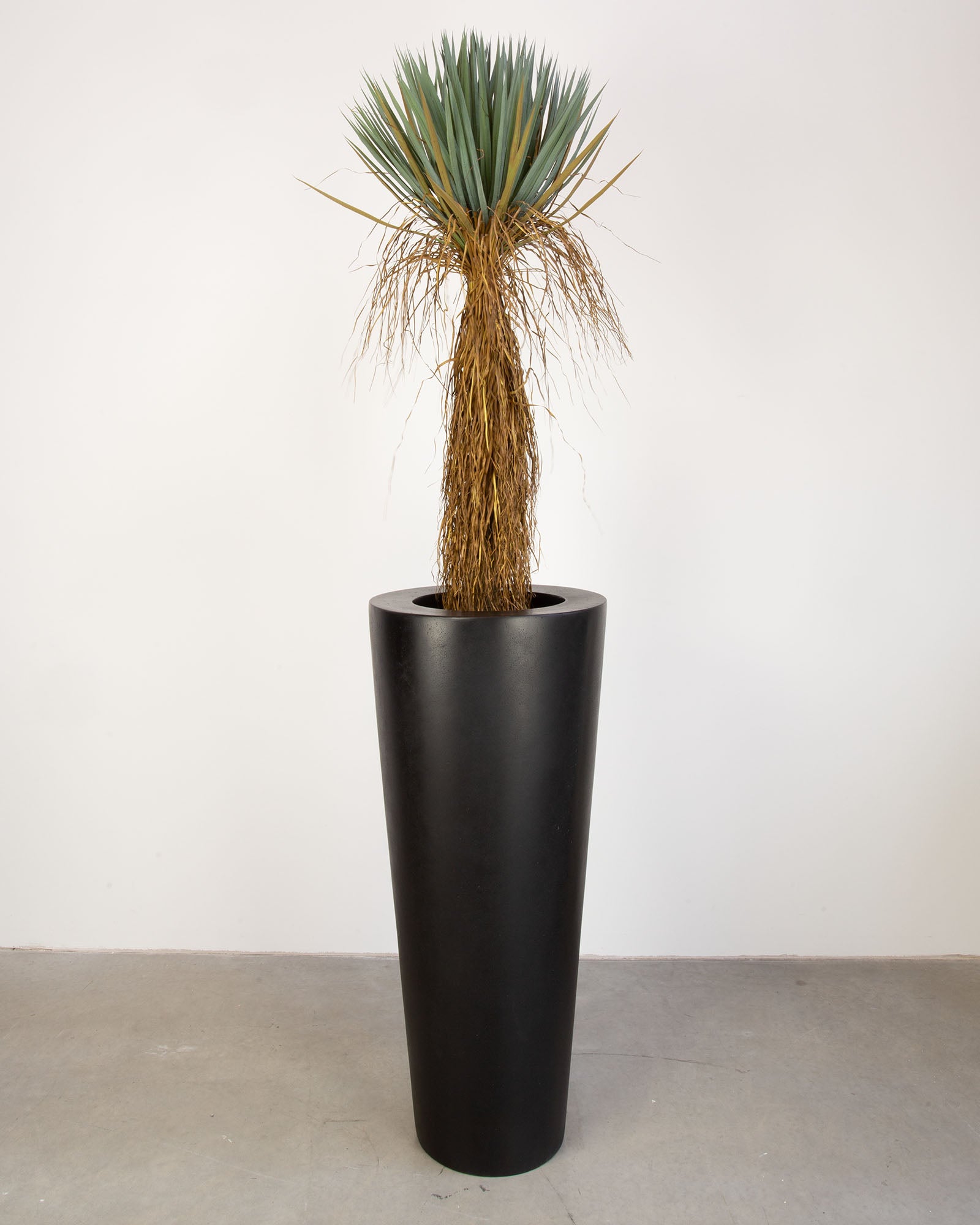 Basalo Conical Set mit Yucca Palmlilie