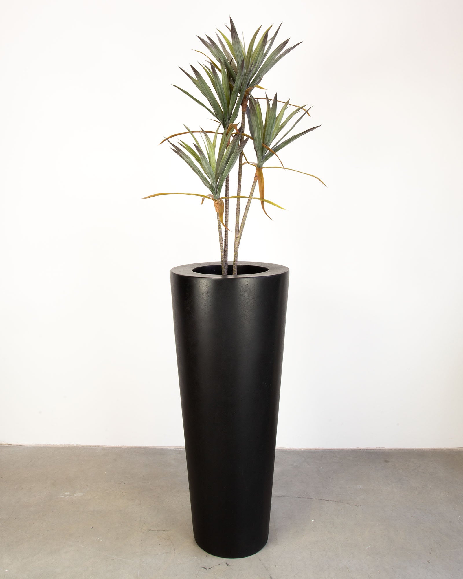 Basalo Conical Set mit Yucca - Palmlilie