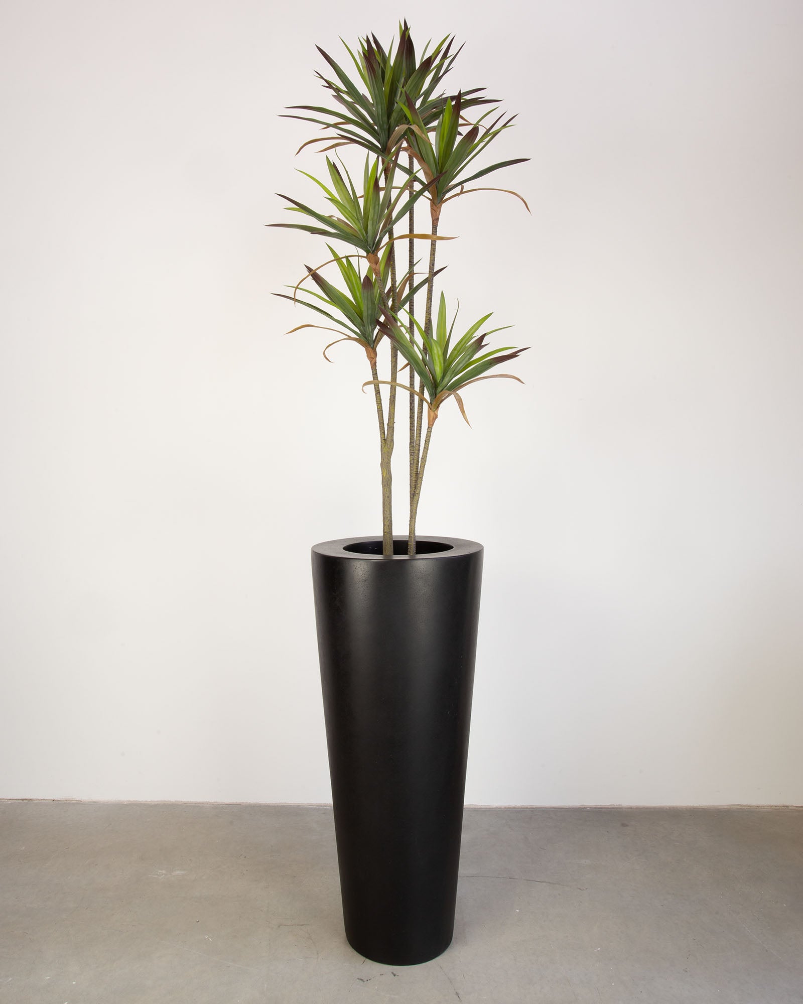 Basalo Conical Set mit Yucca - Palmlilie