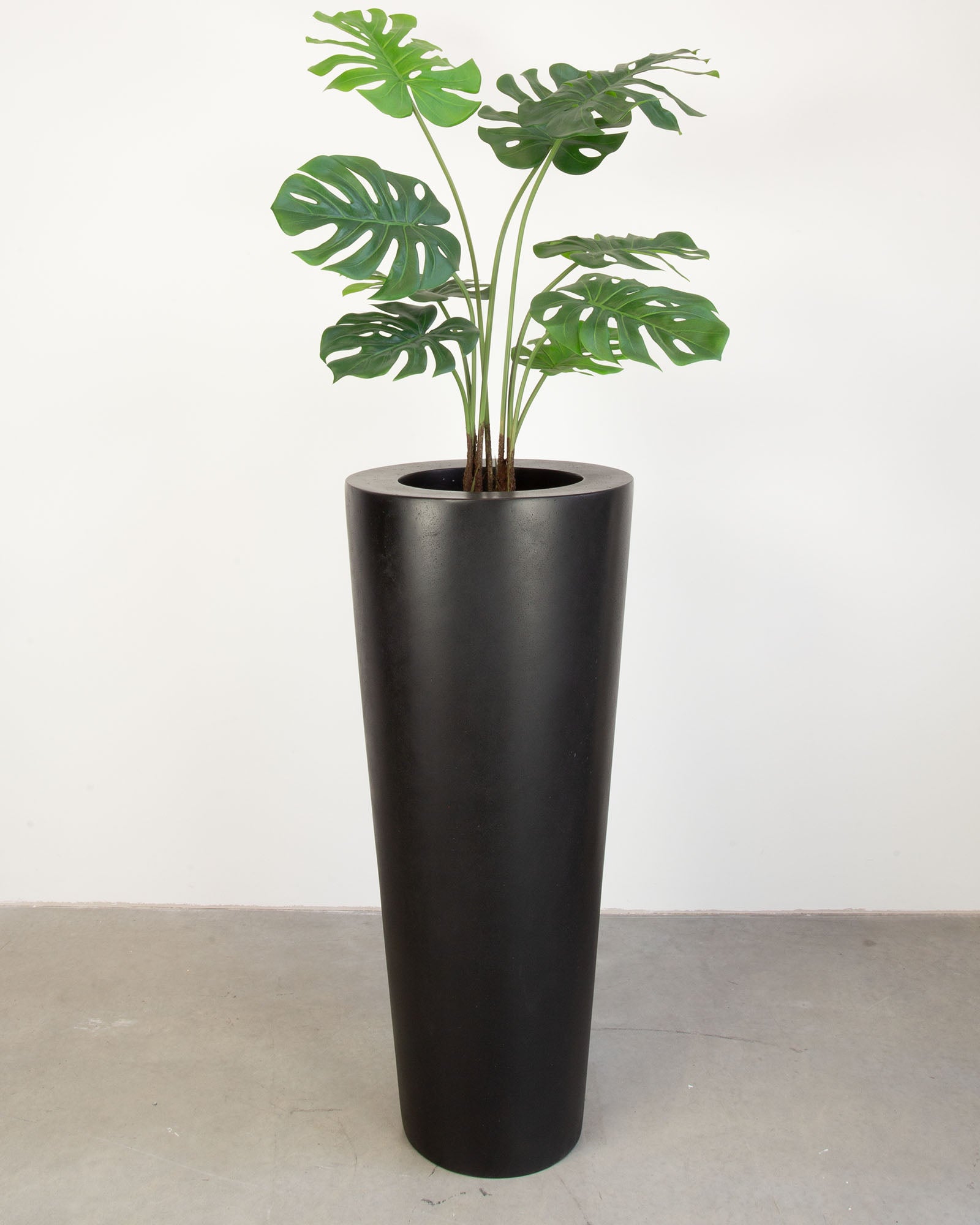 Basalo Conical Set mit Monstera