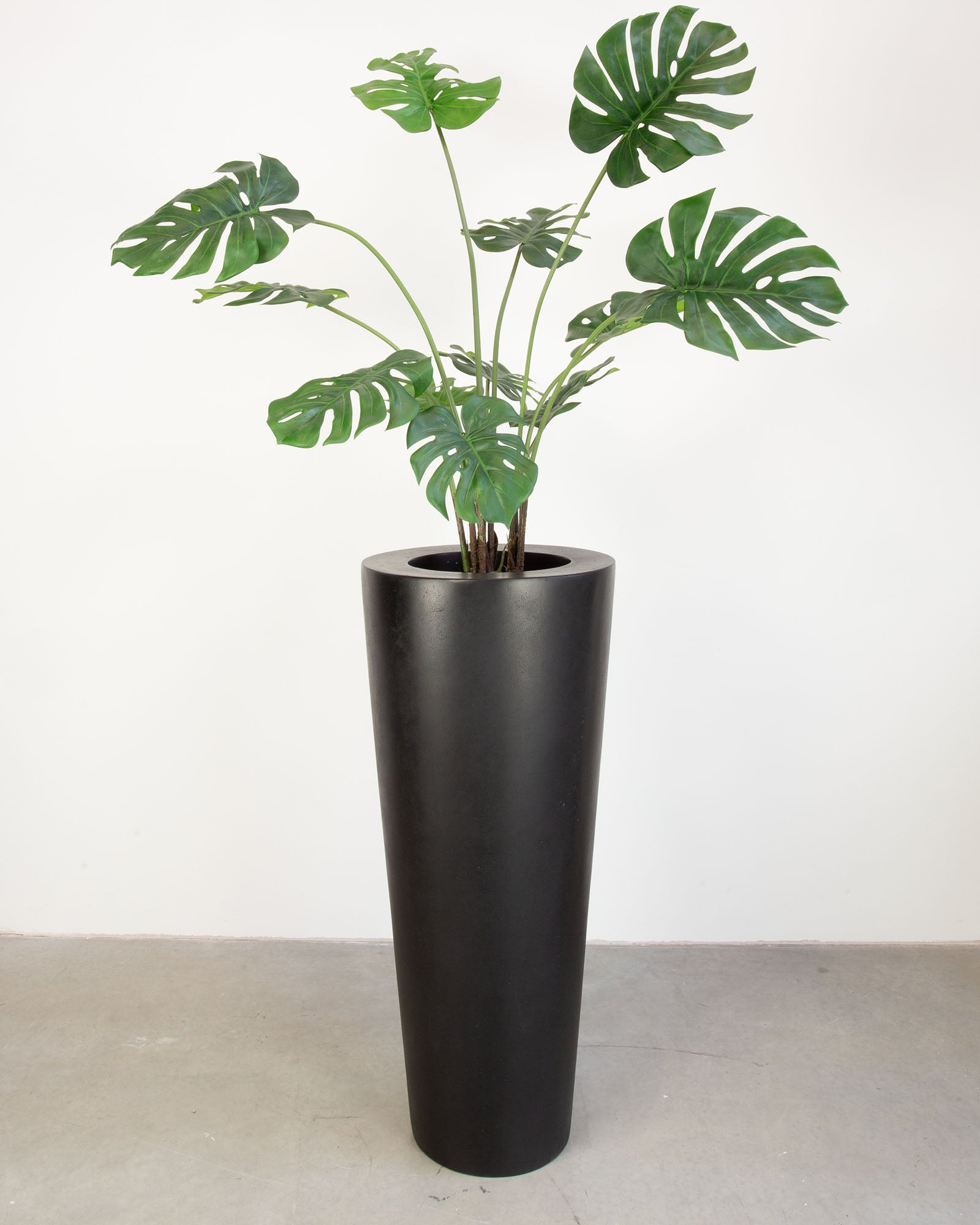Basalo Conical Set mit Monstera