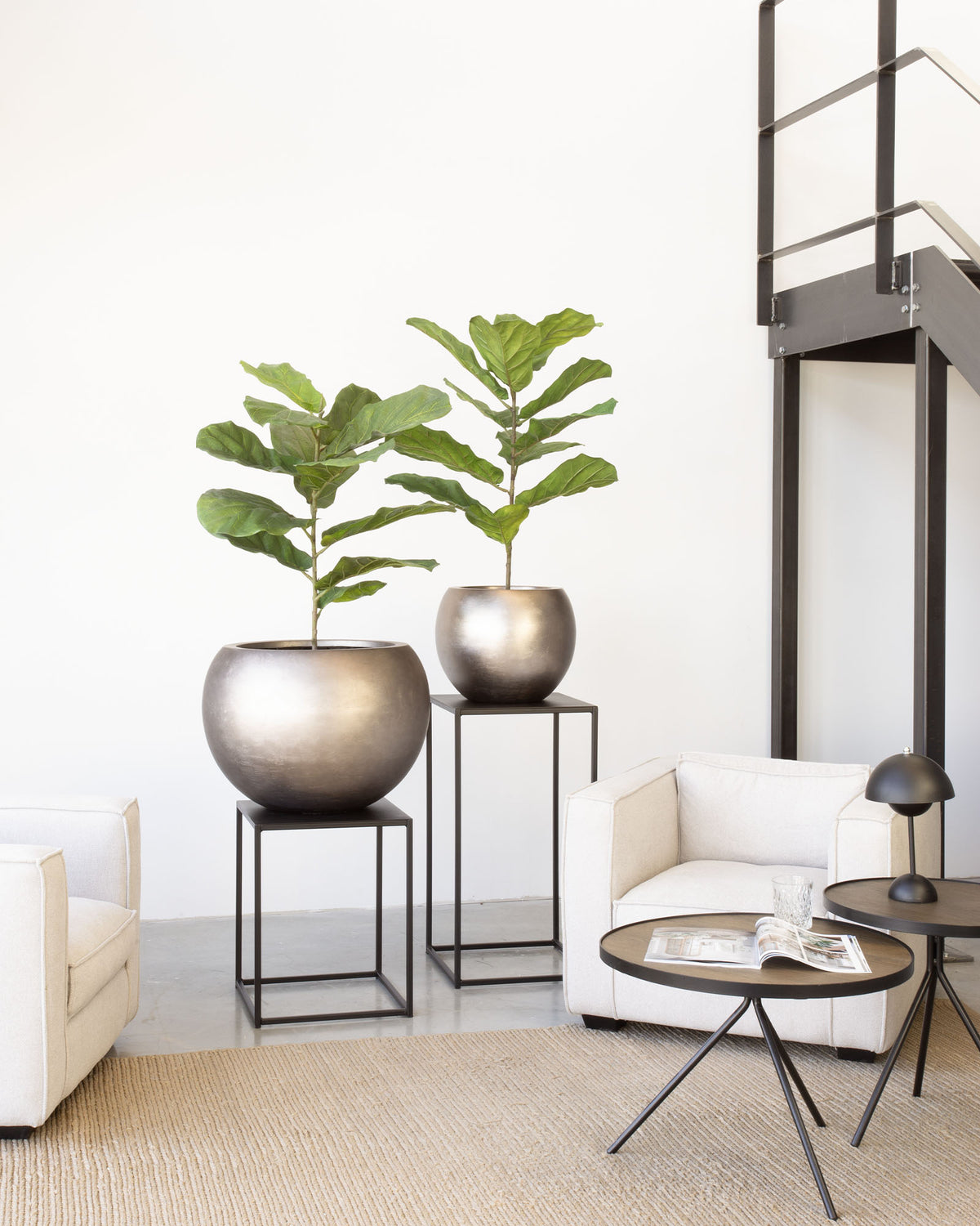 Noblesse Globe Set mit Geigenfeige