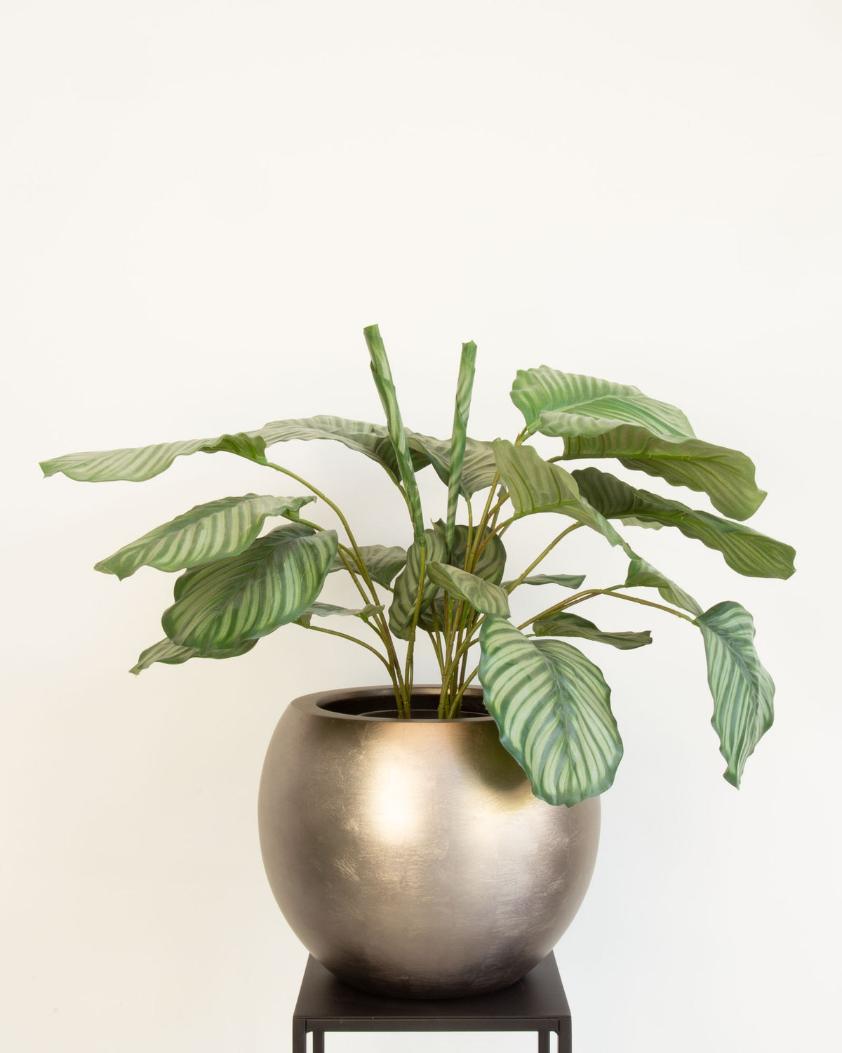 Noblesse Globe Set mit Korbmarante