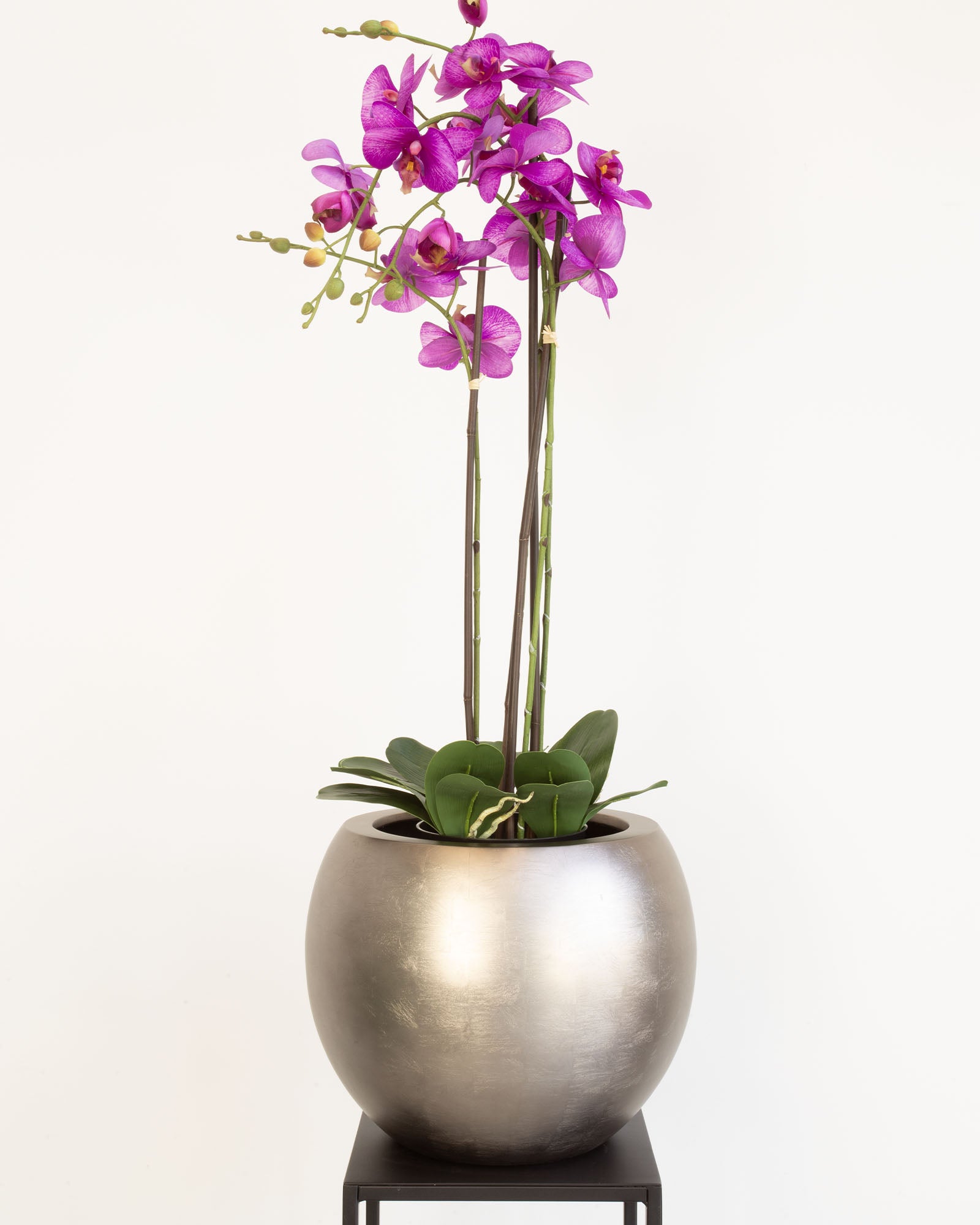 Noblesse Globe Set mit Orchidee Lila