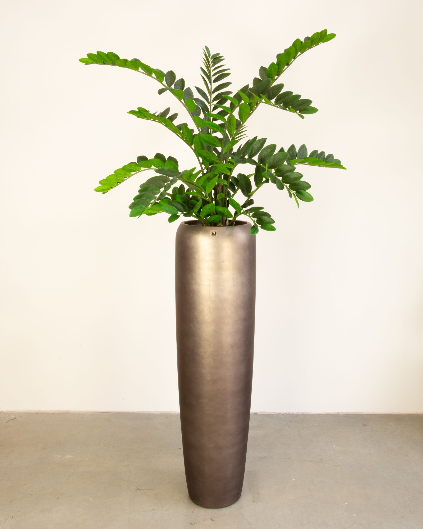 Noblesse Bodenvase Set mit Zamioculcas