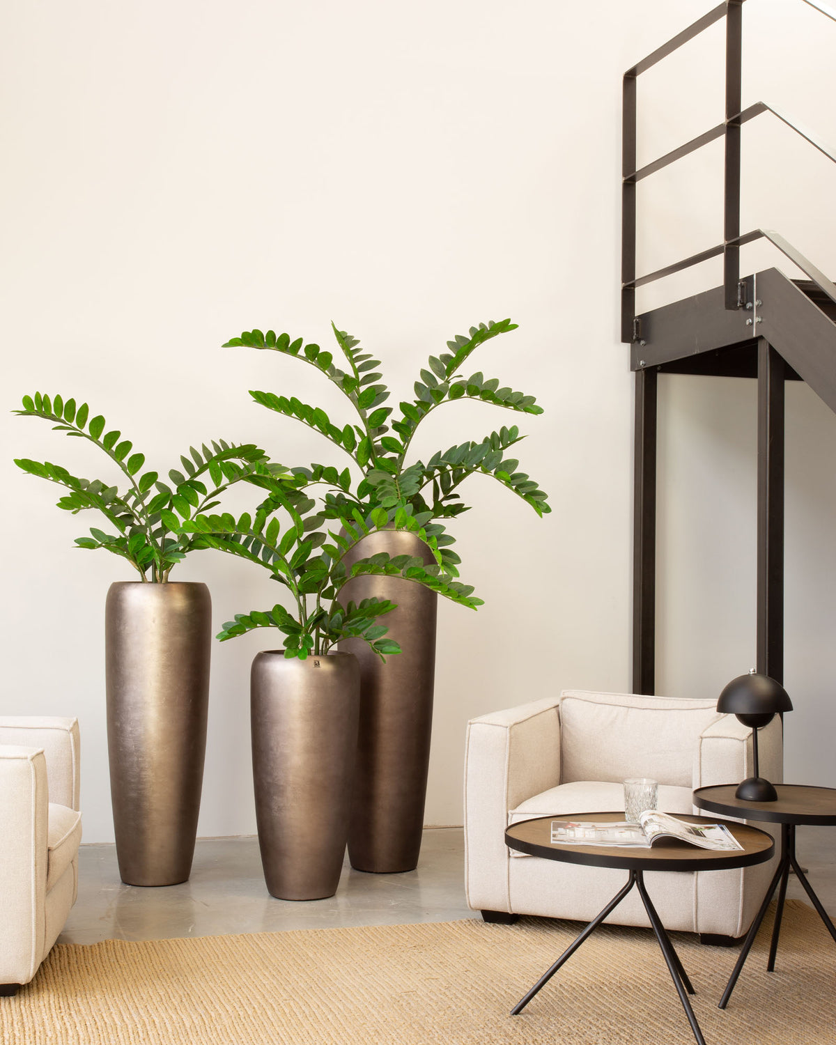Noblesse Bodenvase Set mit Zamioculcas