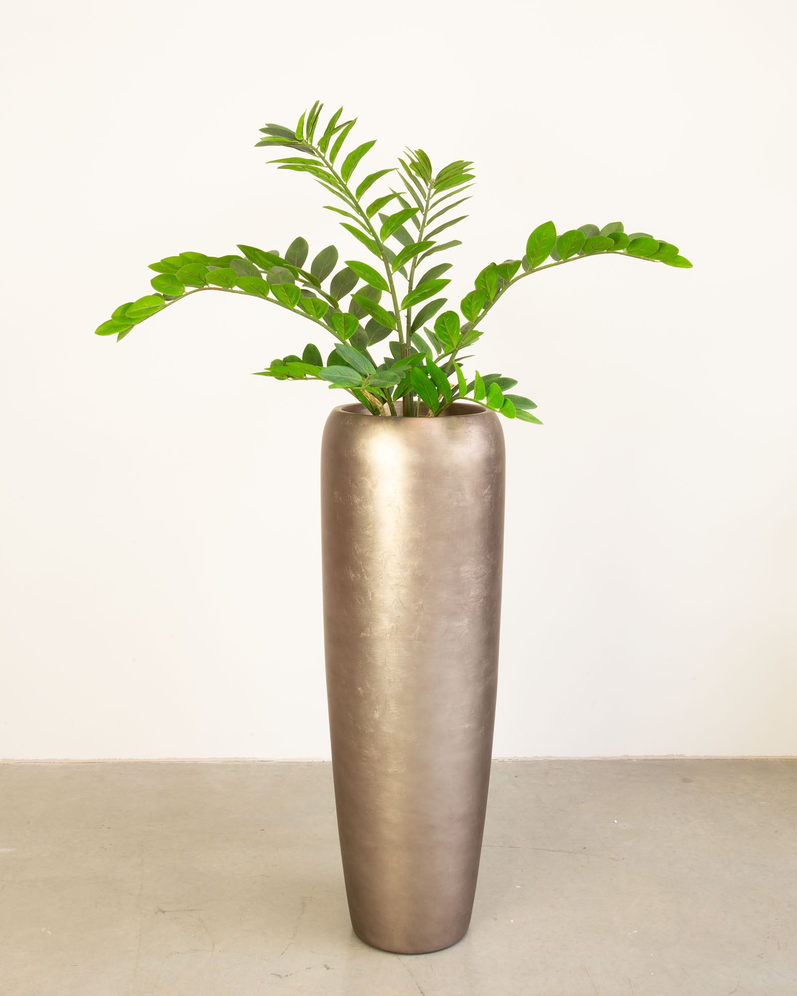 Noblesse Bodenvase Set mit Zamioculcas