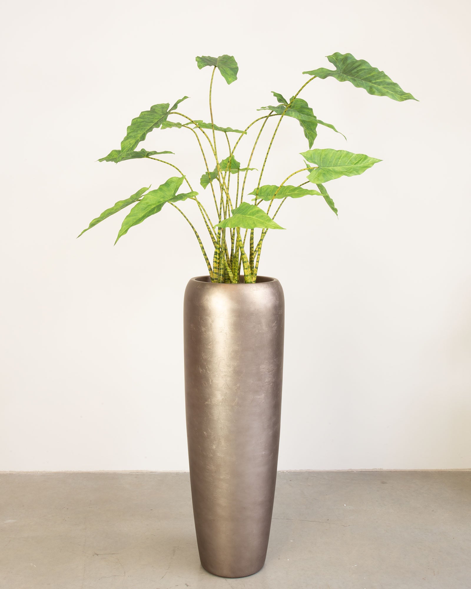 Noblesse Bodenvase Set mit Elefantenohr