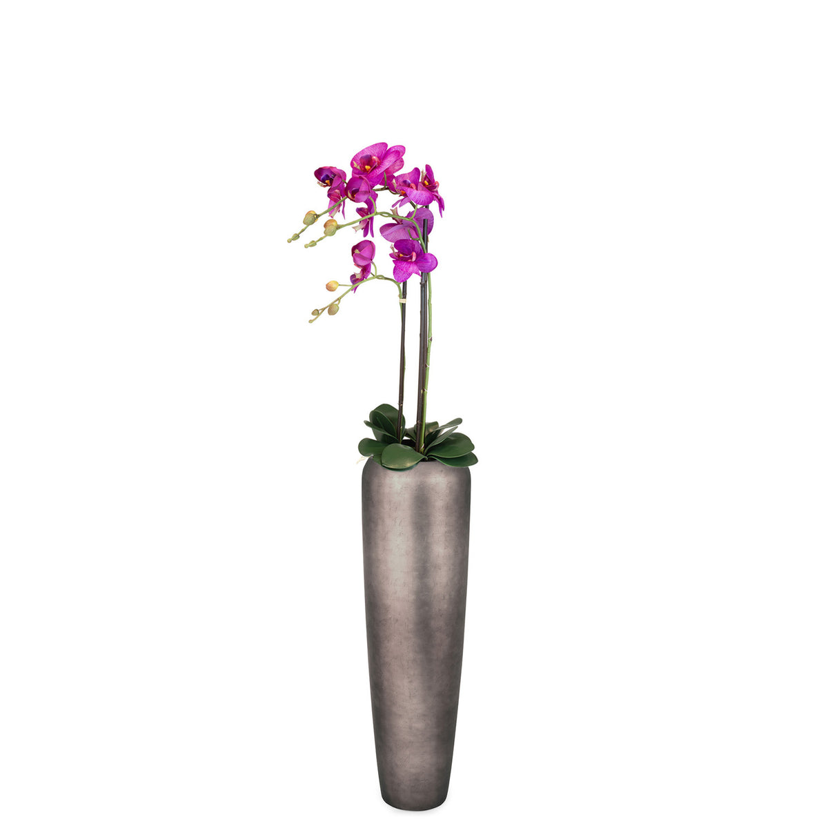 Set Noblesse Bodenvase mit Orchidee Seitenansicht für architektonische Raumgestaltung im Wohnzimmer