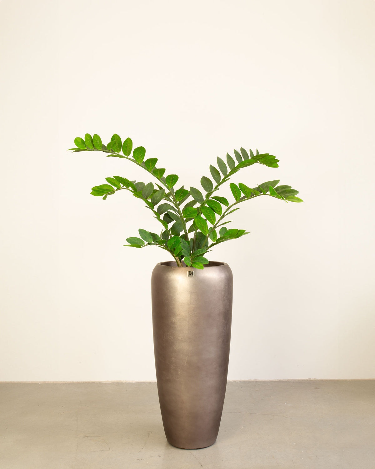 Noblesse Bodenvase Set mit Zamioculcas