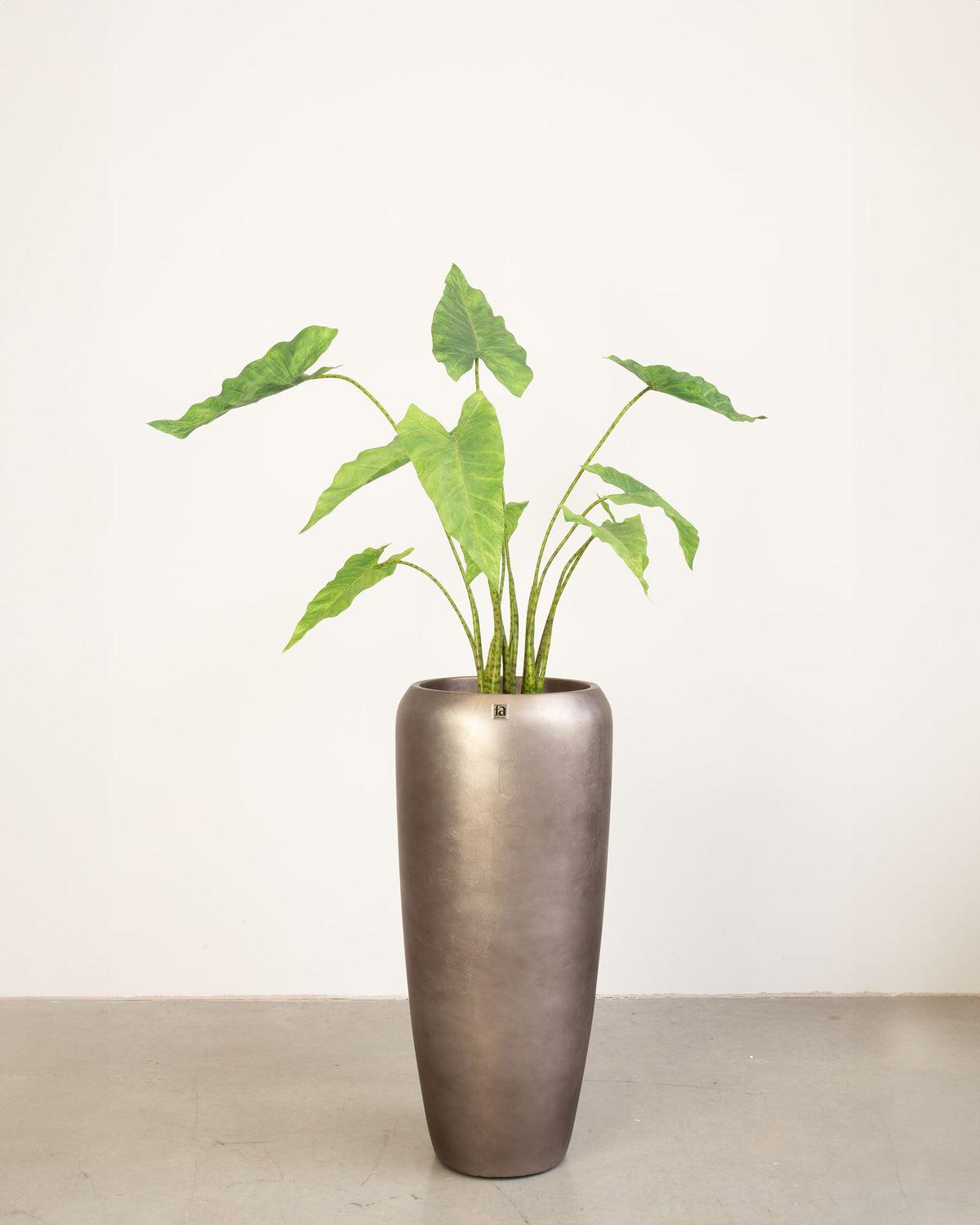 Noblesse Bodenvase Set mit Elefantenohr