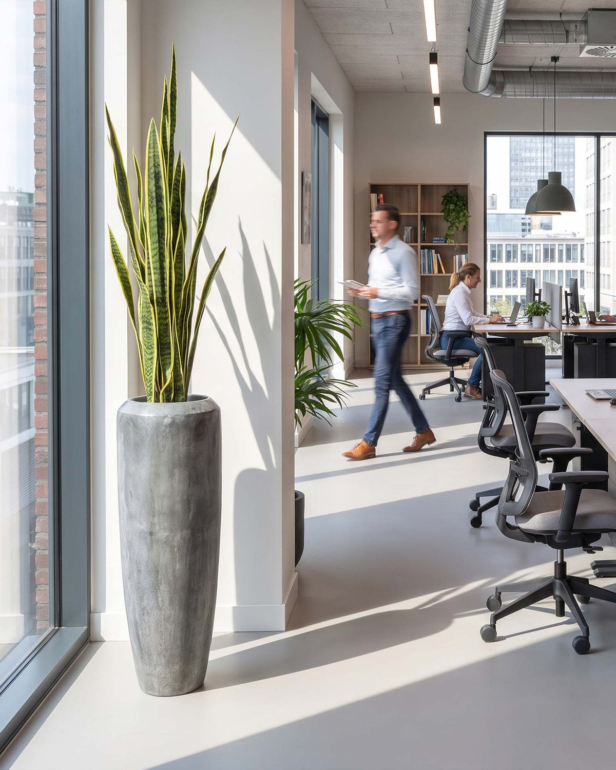 Set aus Niva Bodenvase und Bogenhanf von Get Your Green Frontansicht für moderne Büros aus recyceltem Material