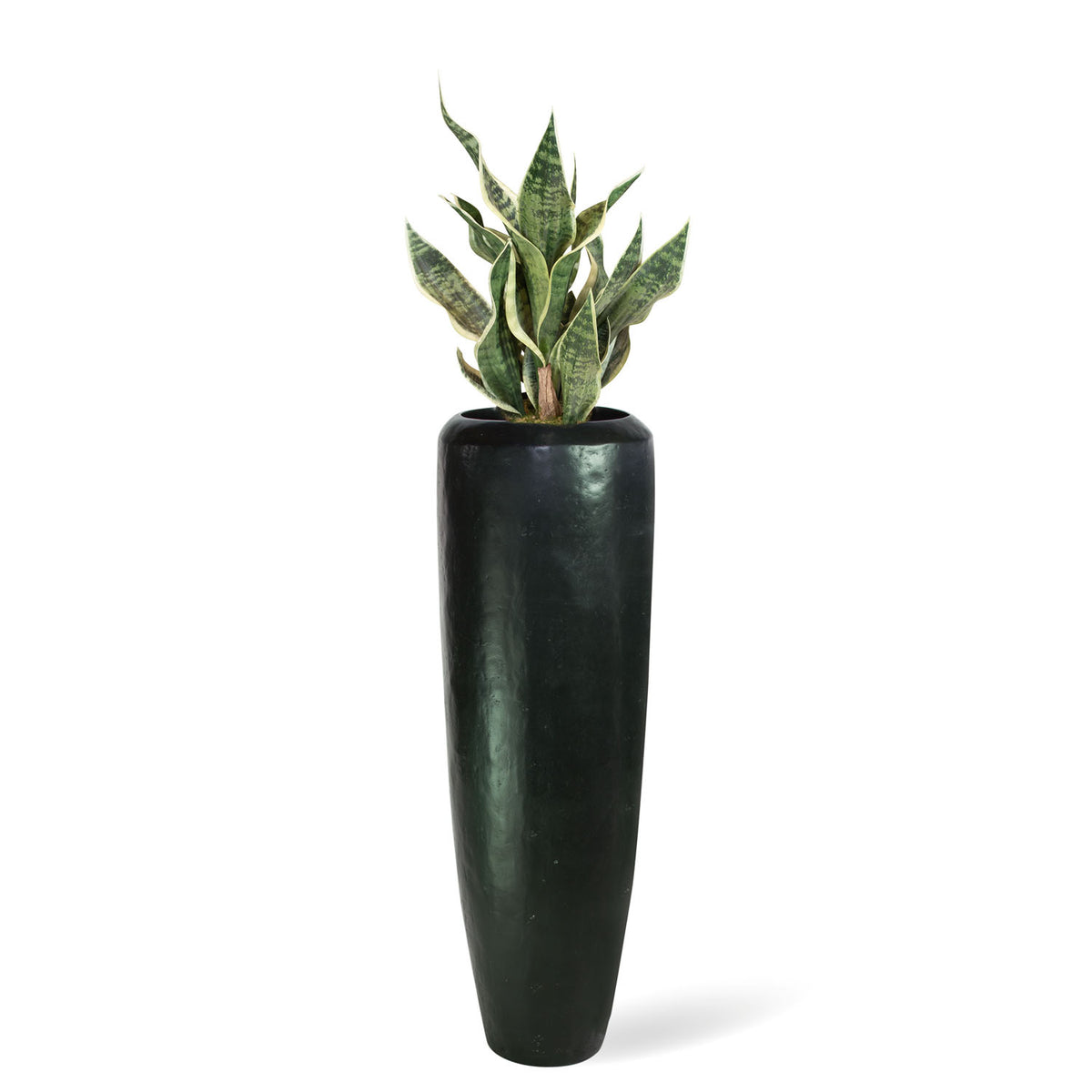 Niva Bodenvase mit Sansevieria Bogenhanf in moderner Betonoptik Seitenansicht für das Wohnzimmer