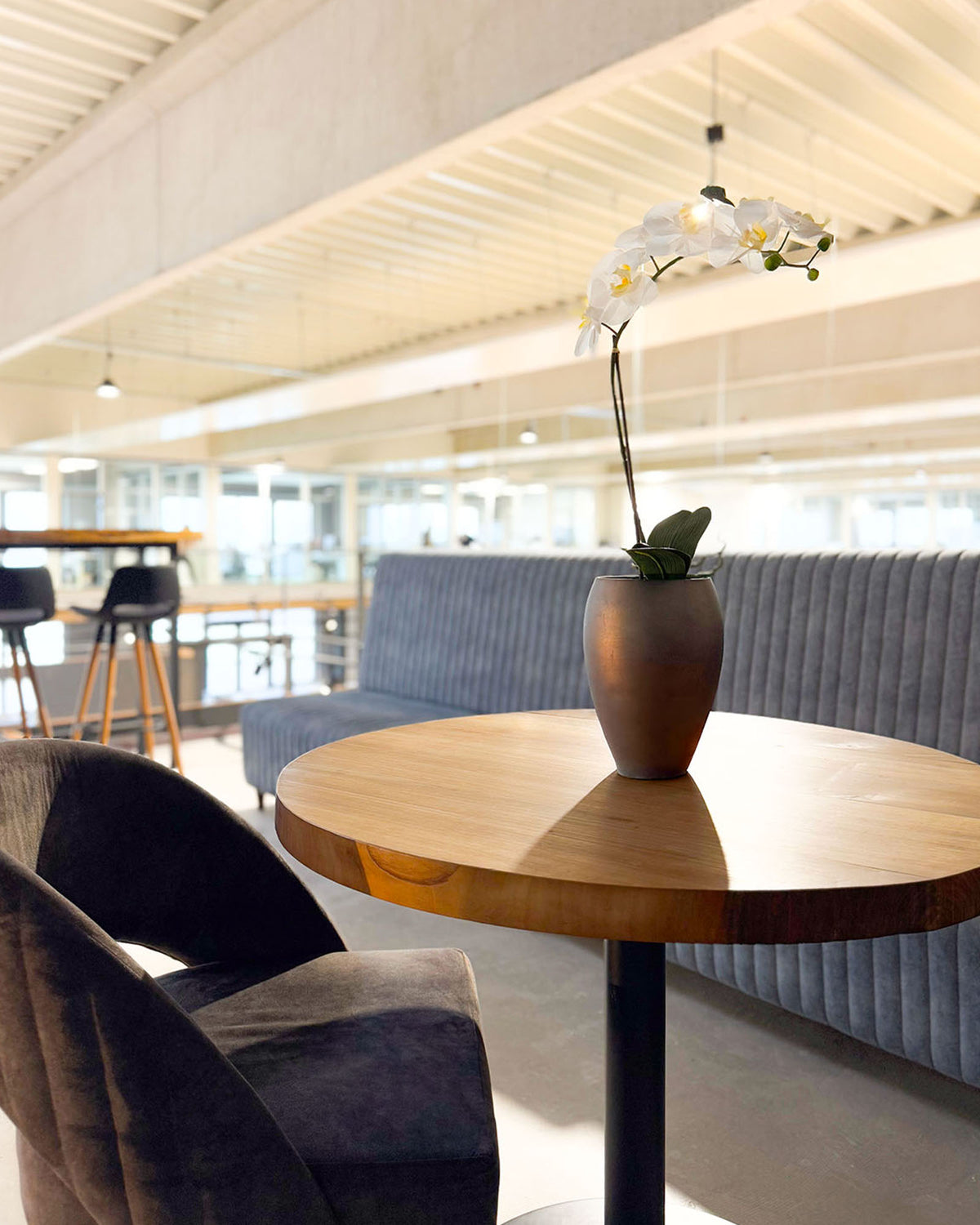 Noblesse Orchideentopf