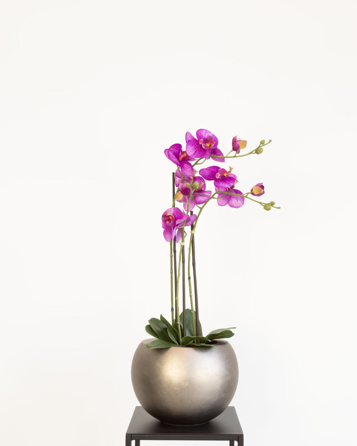 Noblesse Globe Set mit Orchidee Lila