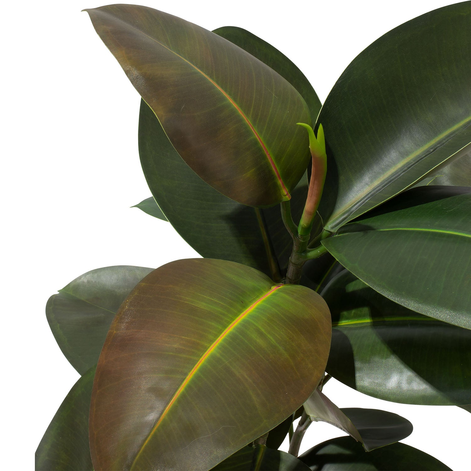 Ficus Elastica - Gummibaum Kunstpflanze