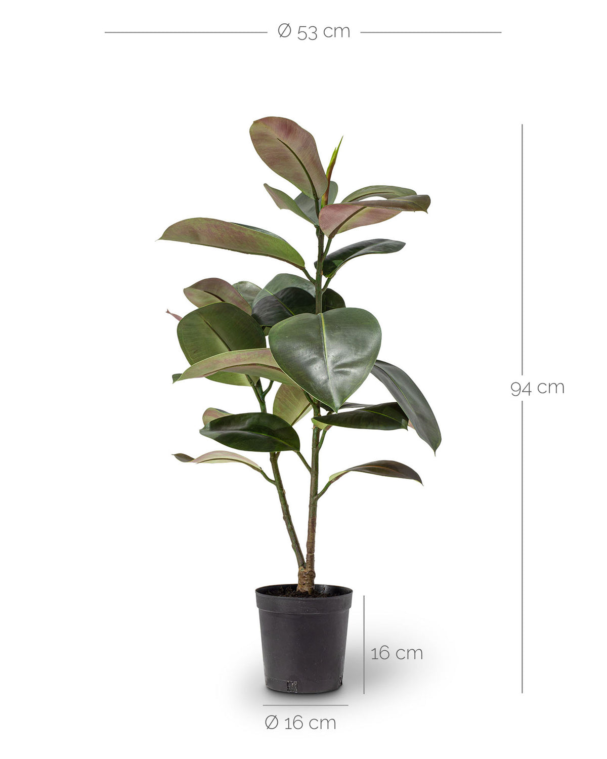 Ficus Elastica - Gummibaum Kunstpflanze