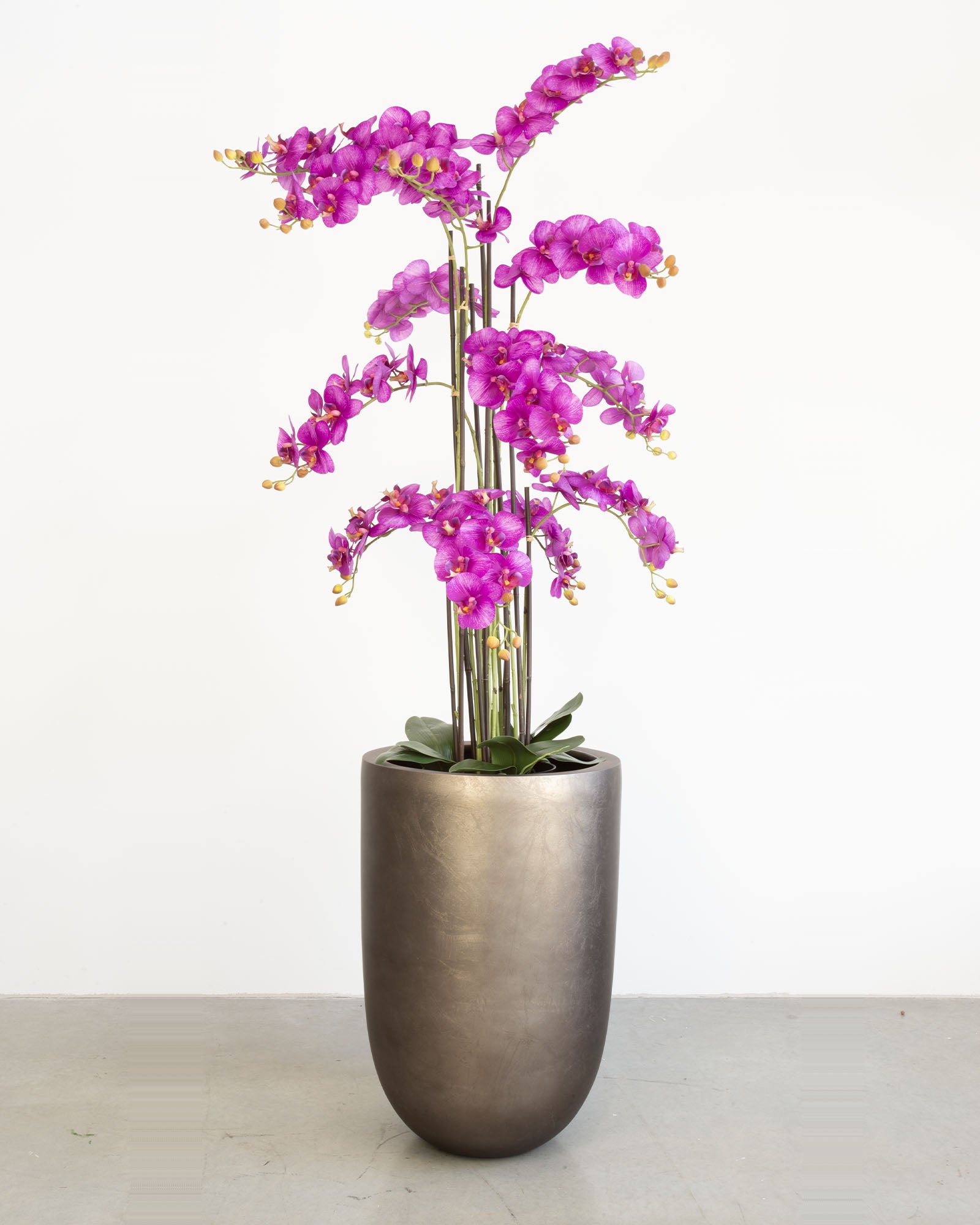 Noblesse Pflanzgefäß Set mit lila Orchidee