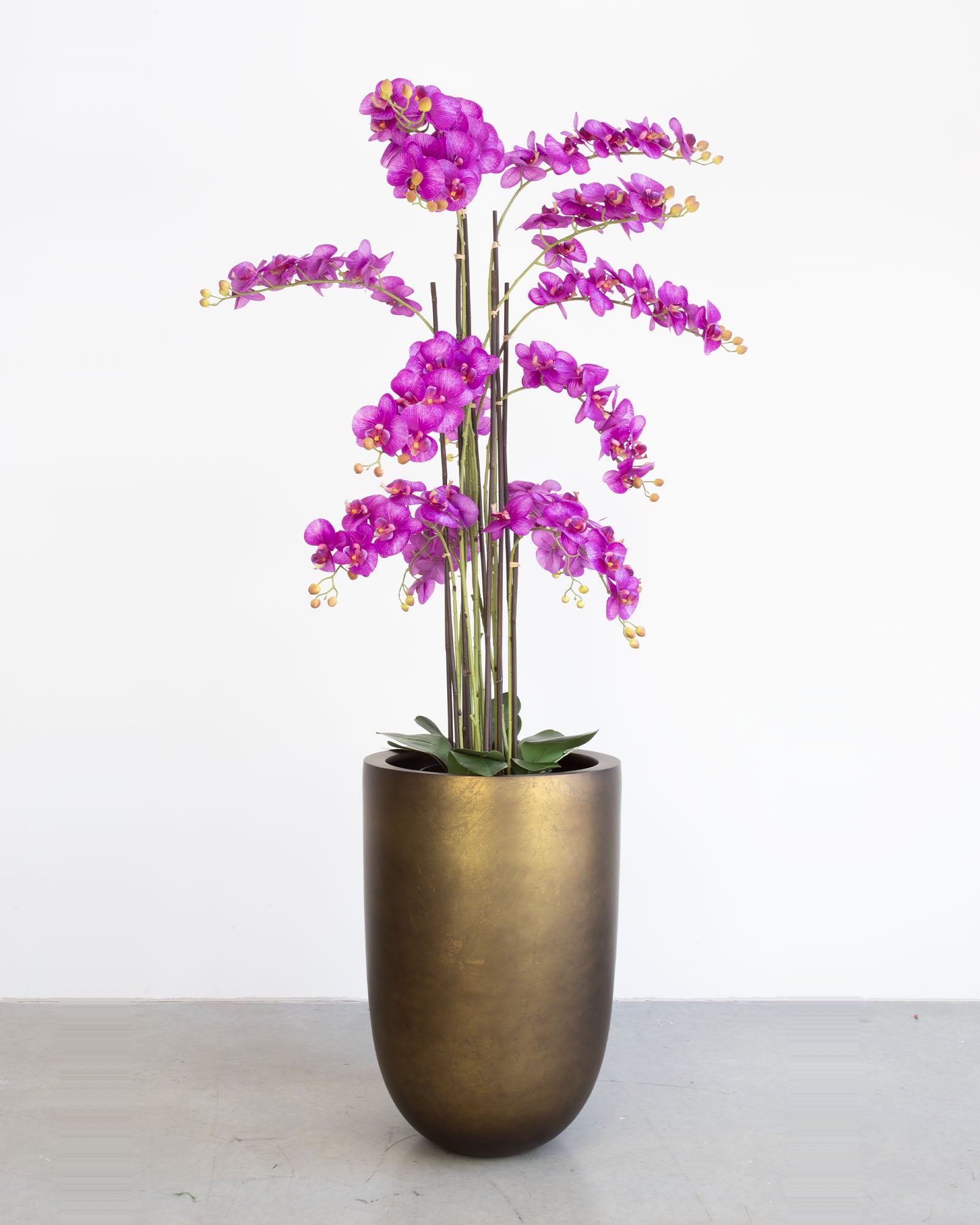 Noblesse Pflanzgefäß Set mit lila Orchidee