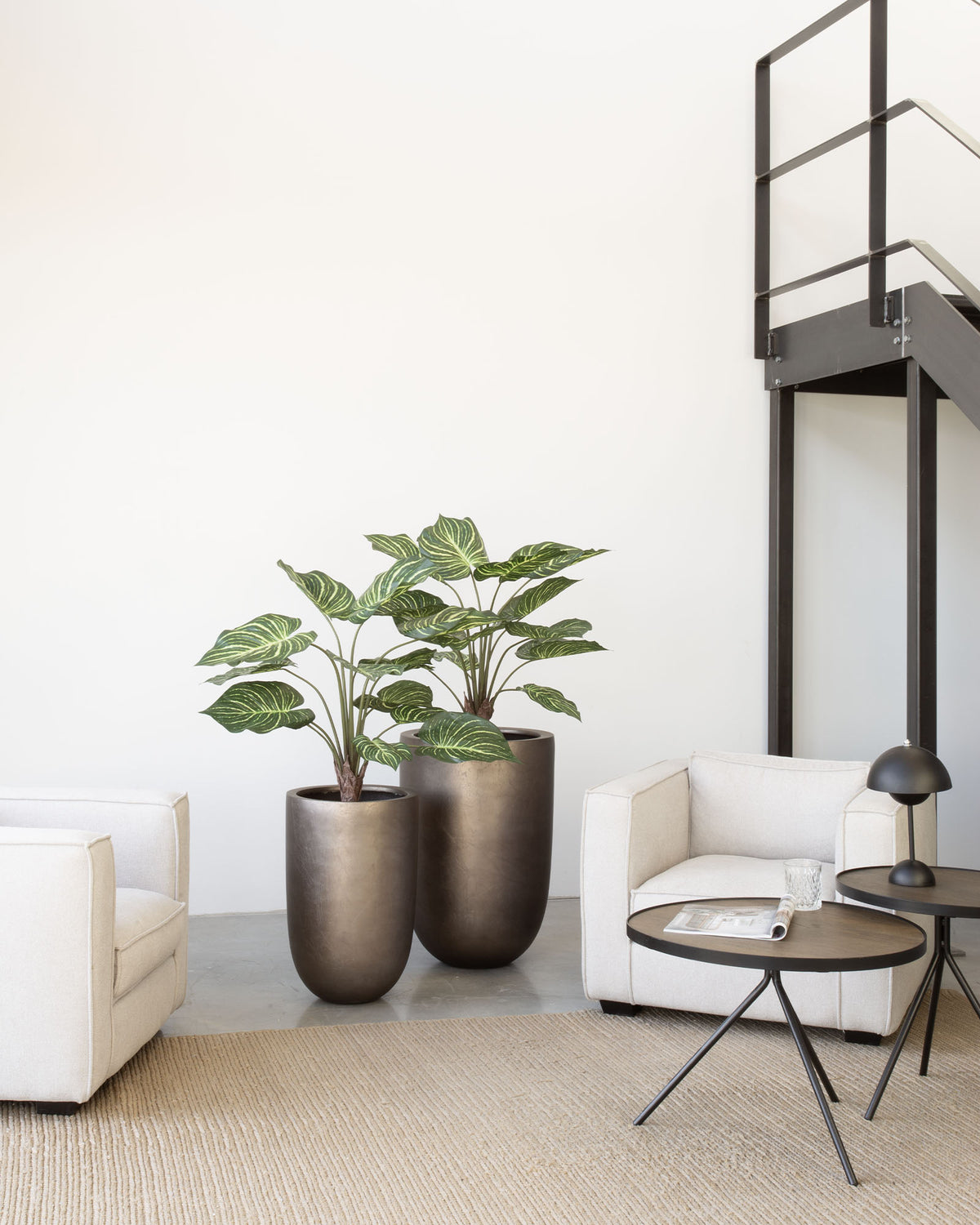 Noblesse Pflanzgefäß Set mit Calathea