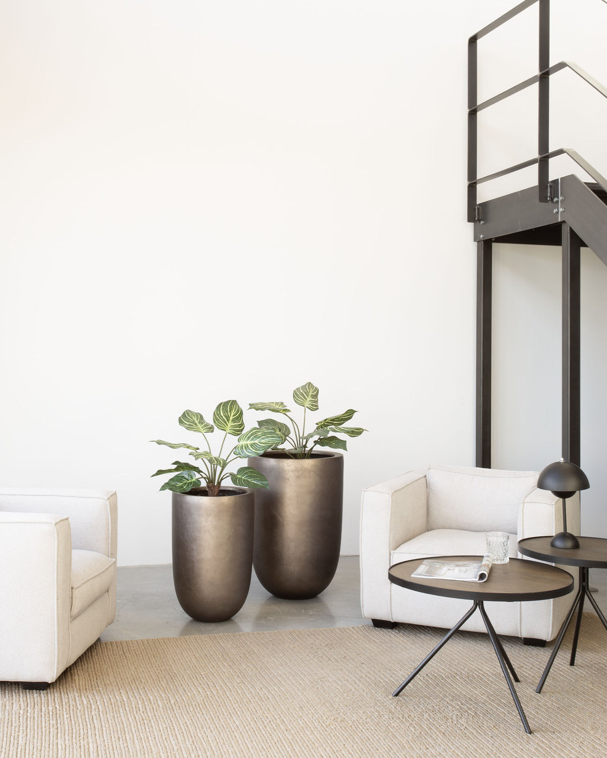 Noblesse Pflanzgefäß Set mit Pfauen-Korbmaranthe