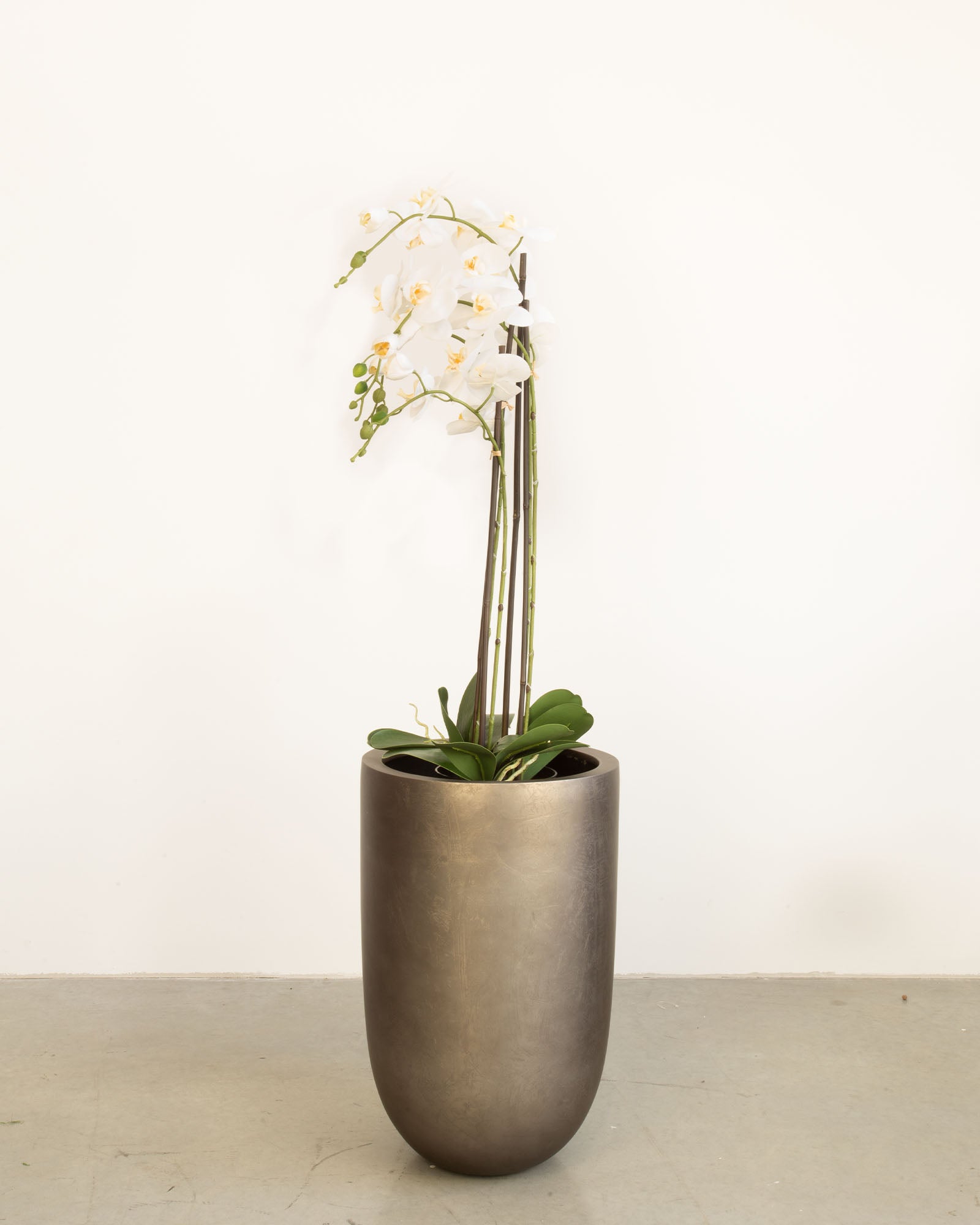 Noblesse Pflanzgefäß Set mit weißer Orchidee