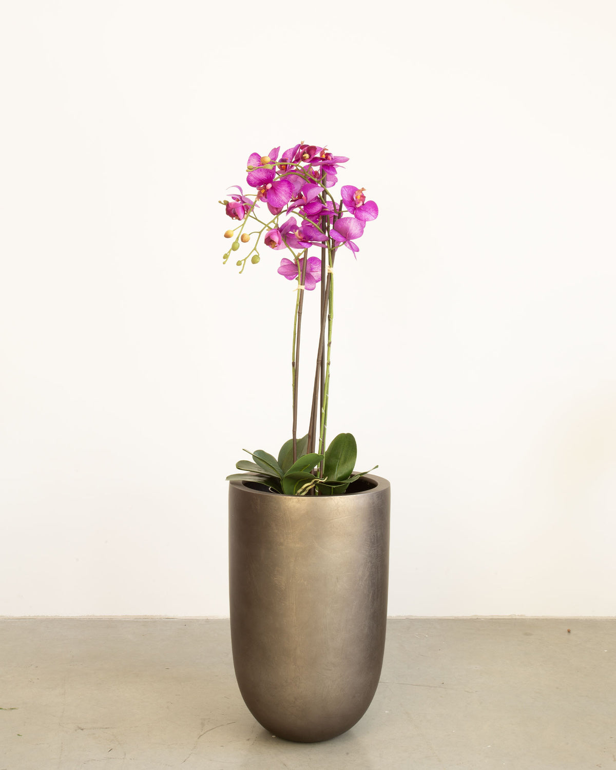 Noblesse Pflanzgefäß Set mit lila Orchidee