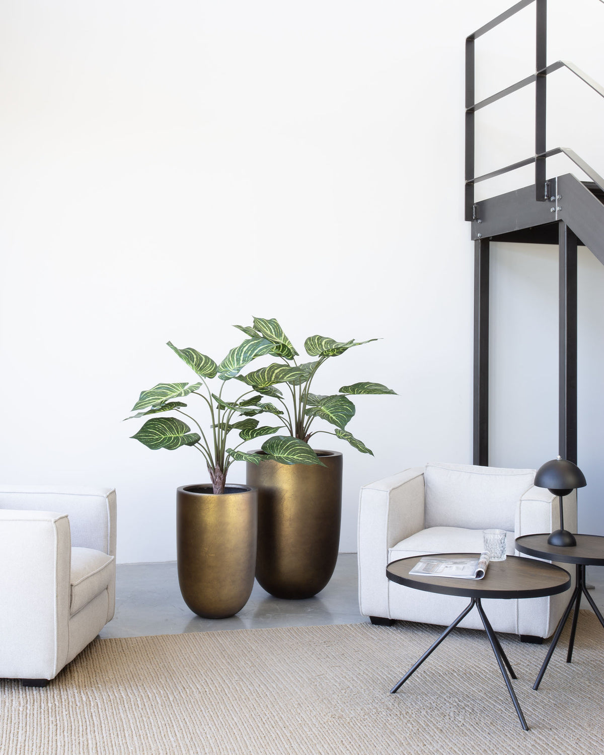 Noblesse Pflanzgefäß Set mit Calathea