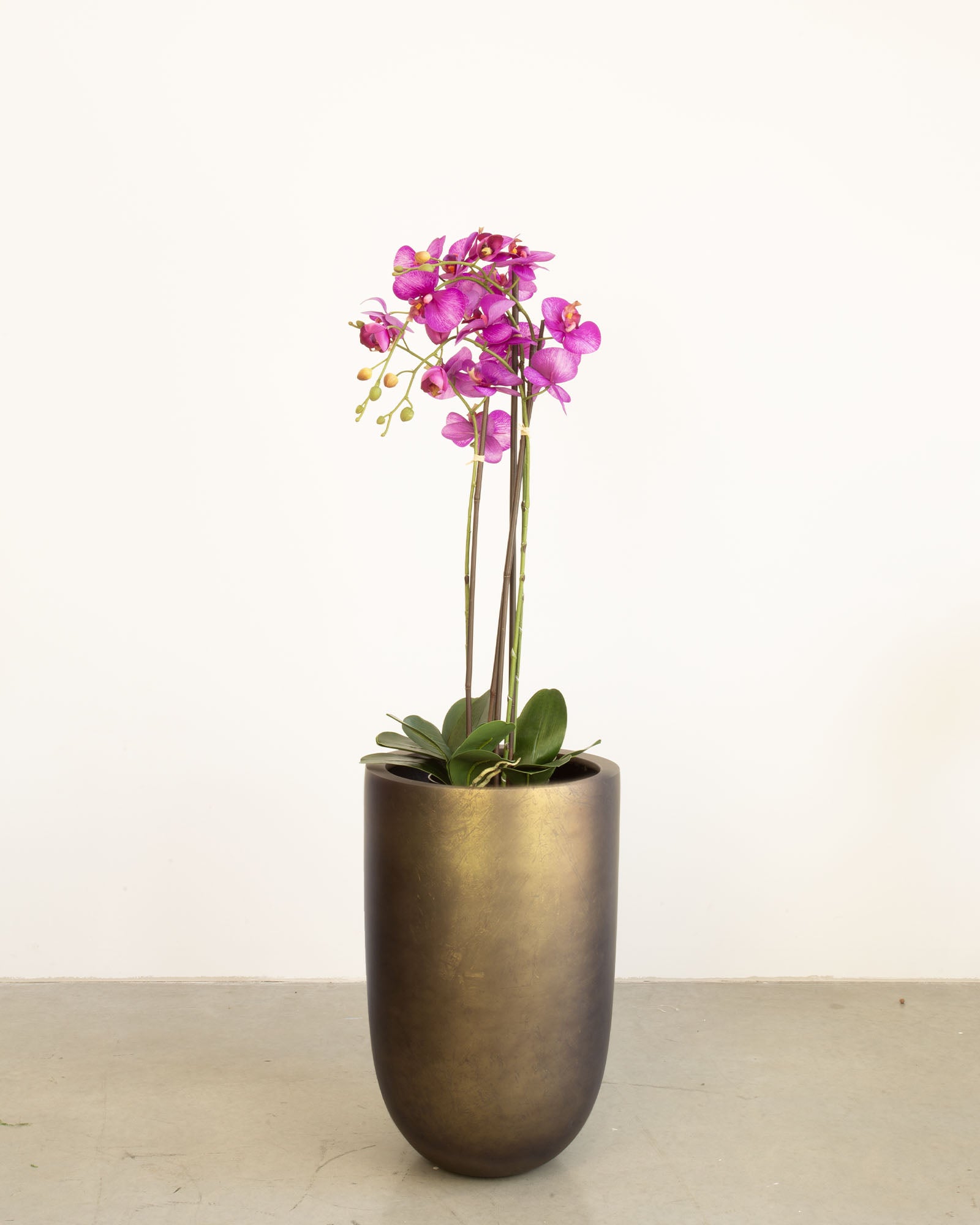 Noblesse Pflanzgefäß Set mit lila Orchidee